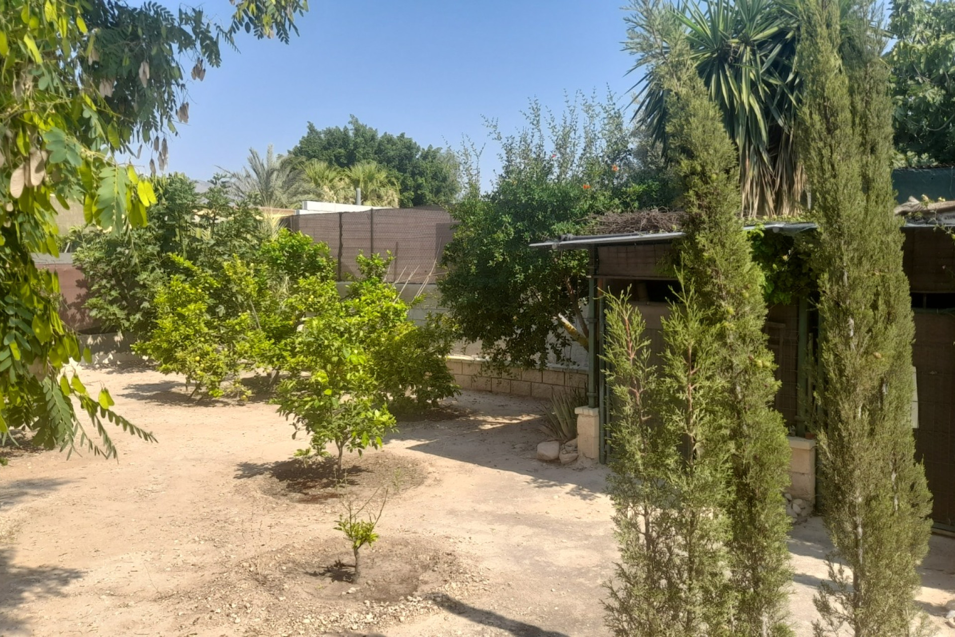 Resale - Country House - Crevillente