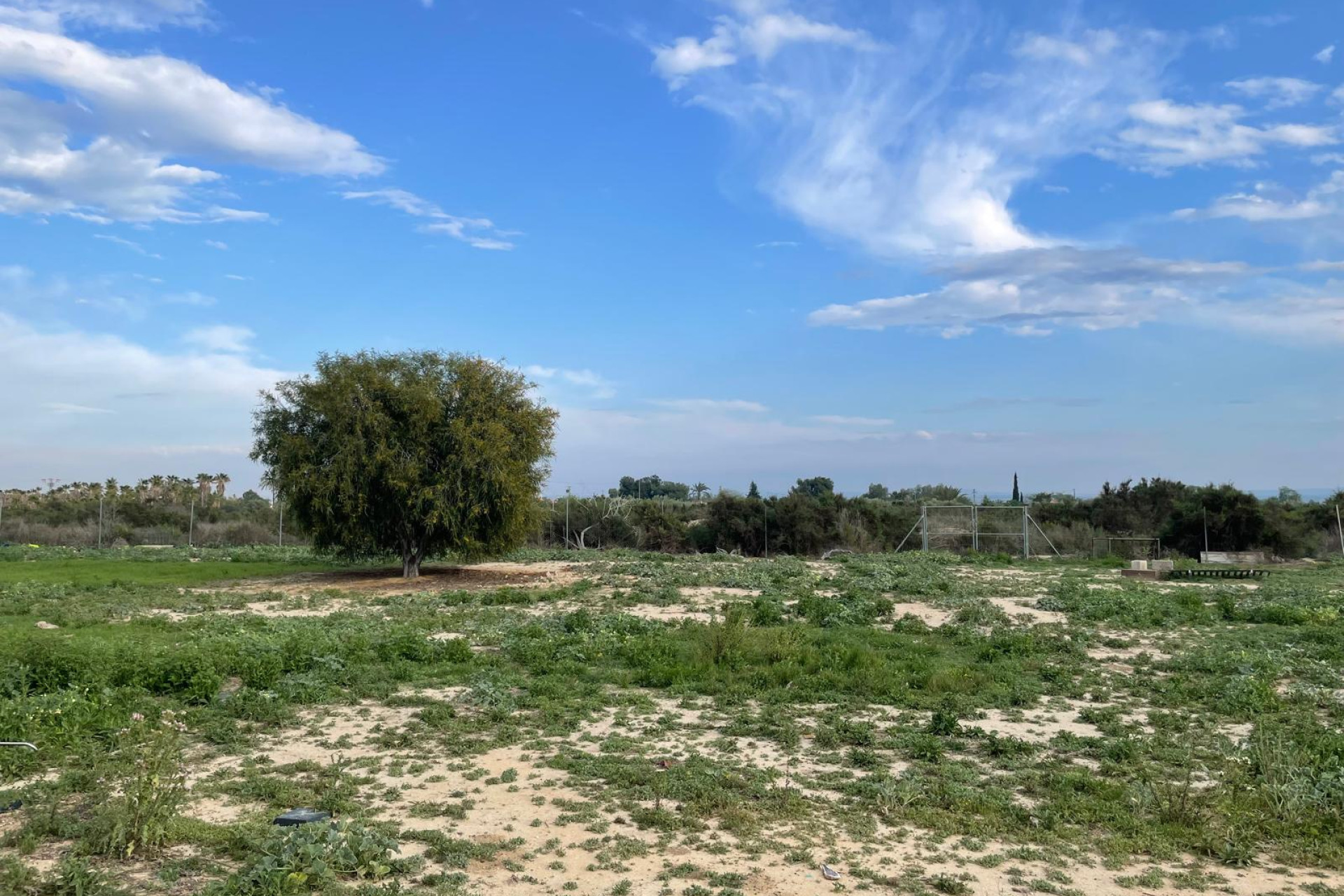 Resale - Country House - Crevillente