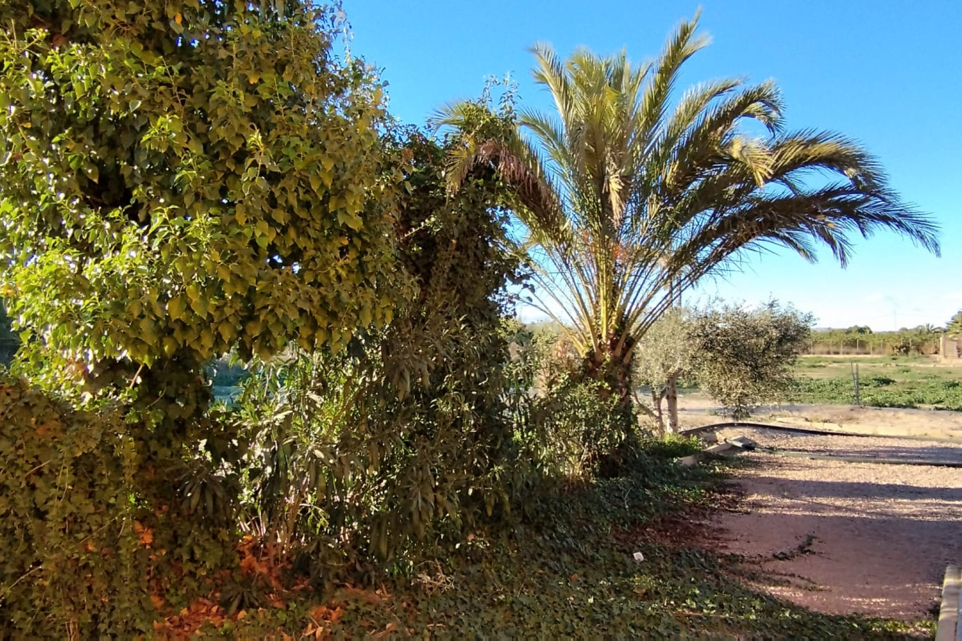 Resale - Country House - Elche