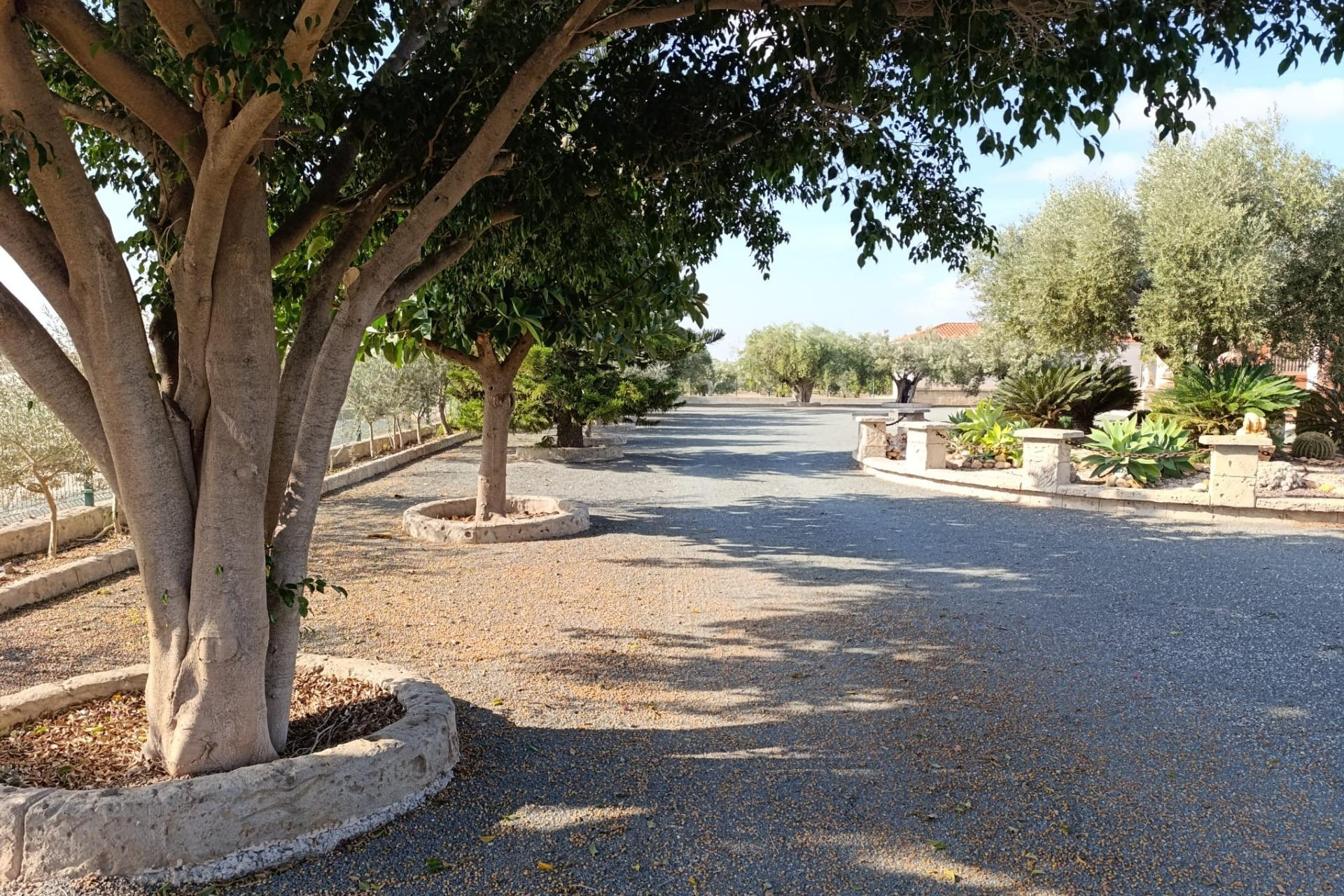 Resale - Country House - Elche