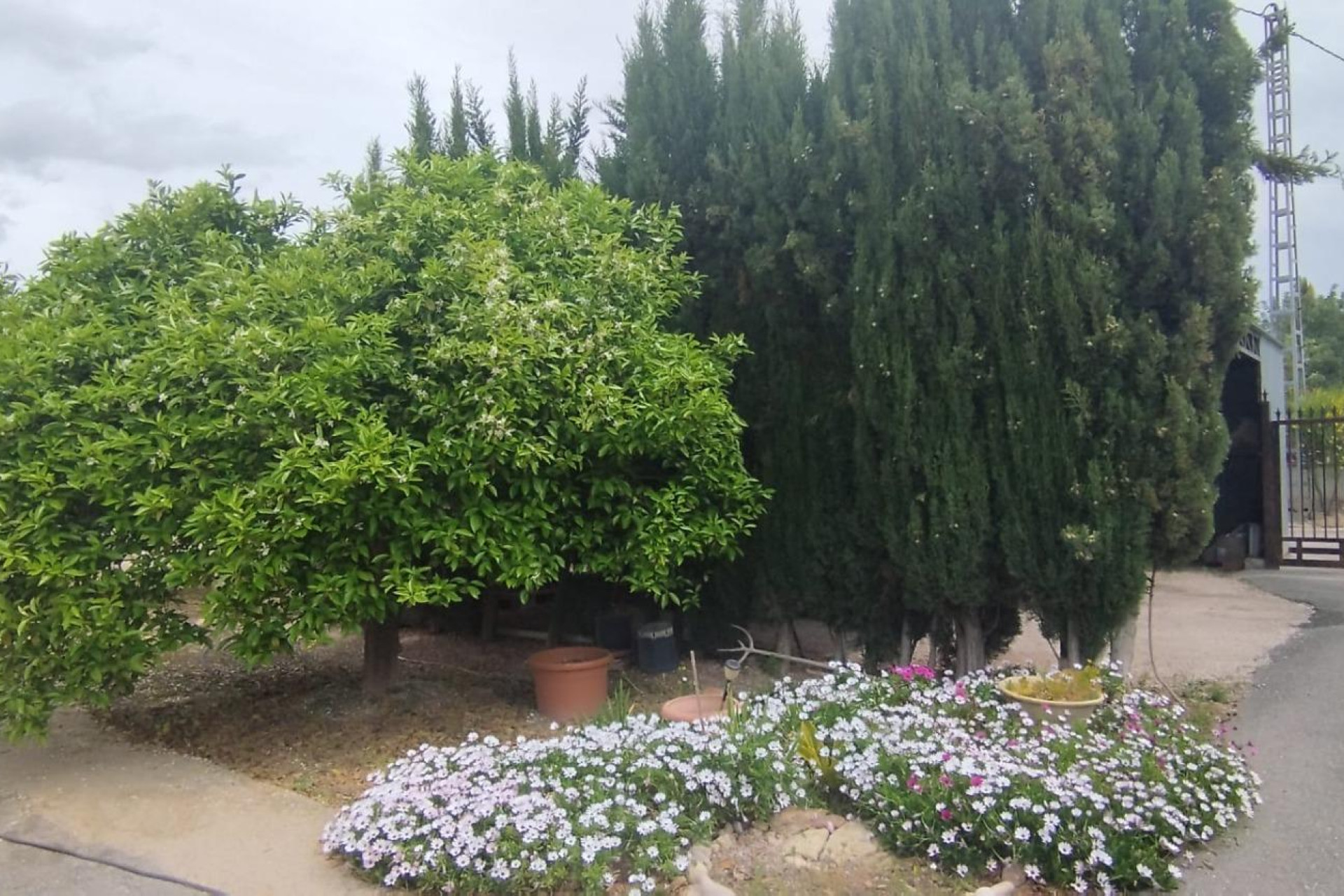 Resale - Country House - Elche