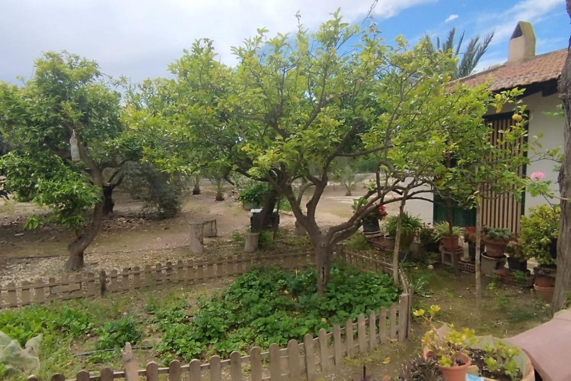 Resale - Country House - Elche