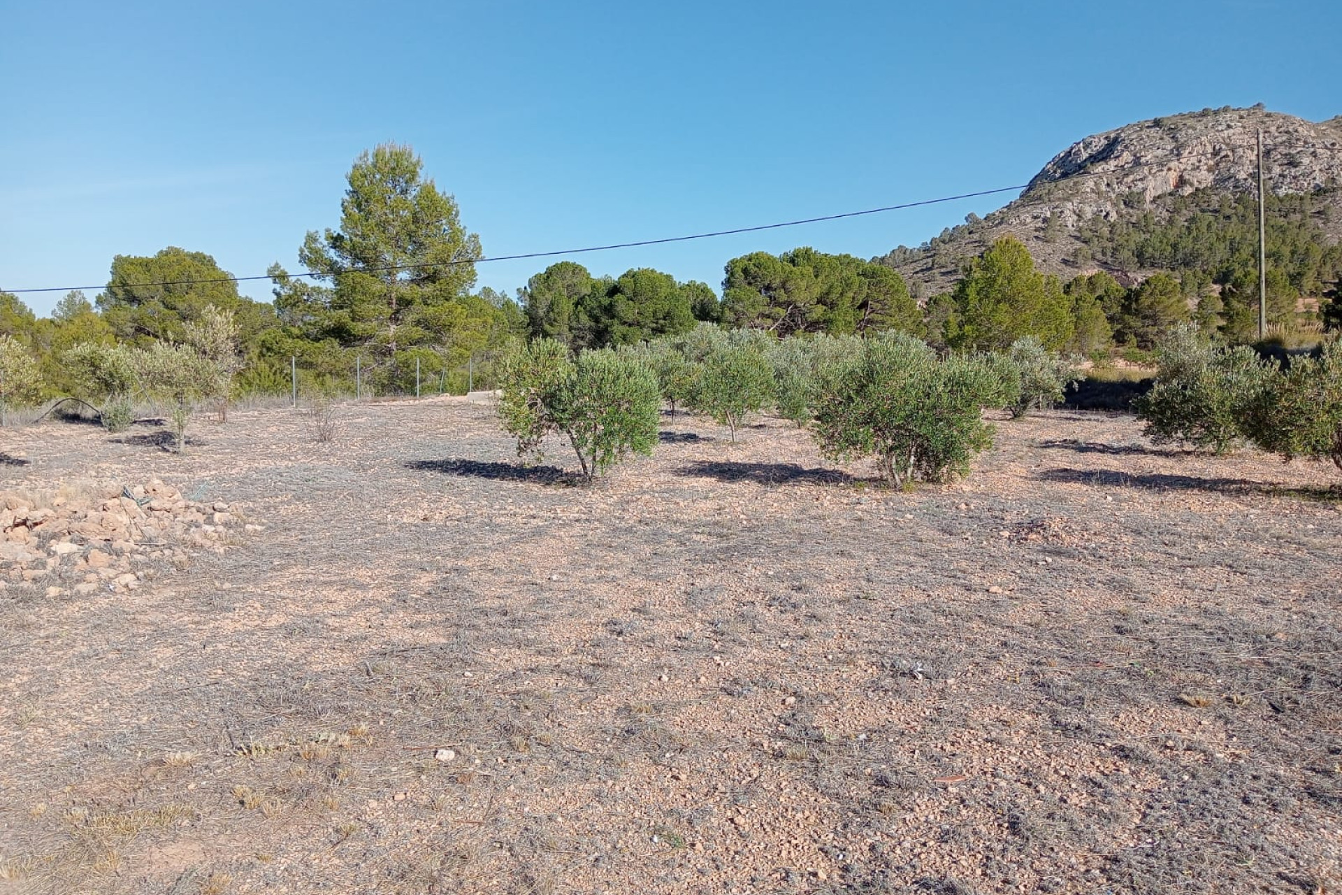 Resale - Country House - La Romana