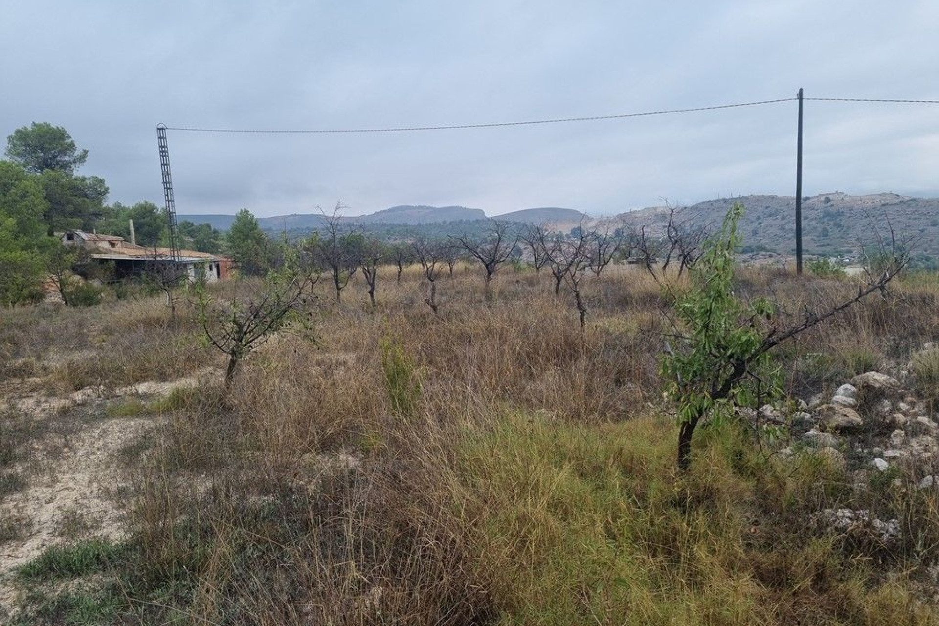 Resale - Country House - La Romana