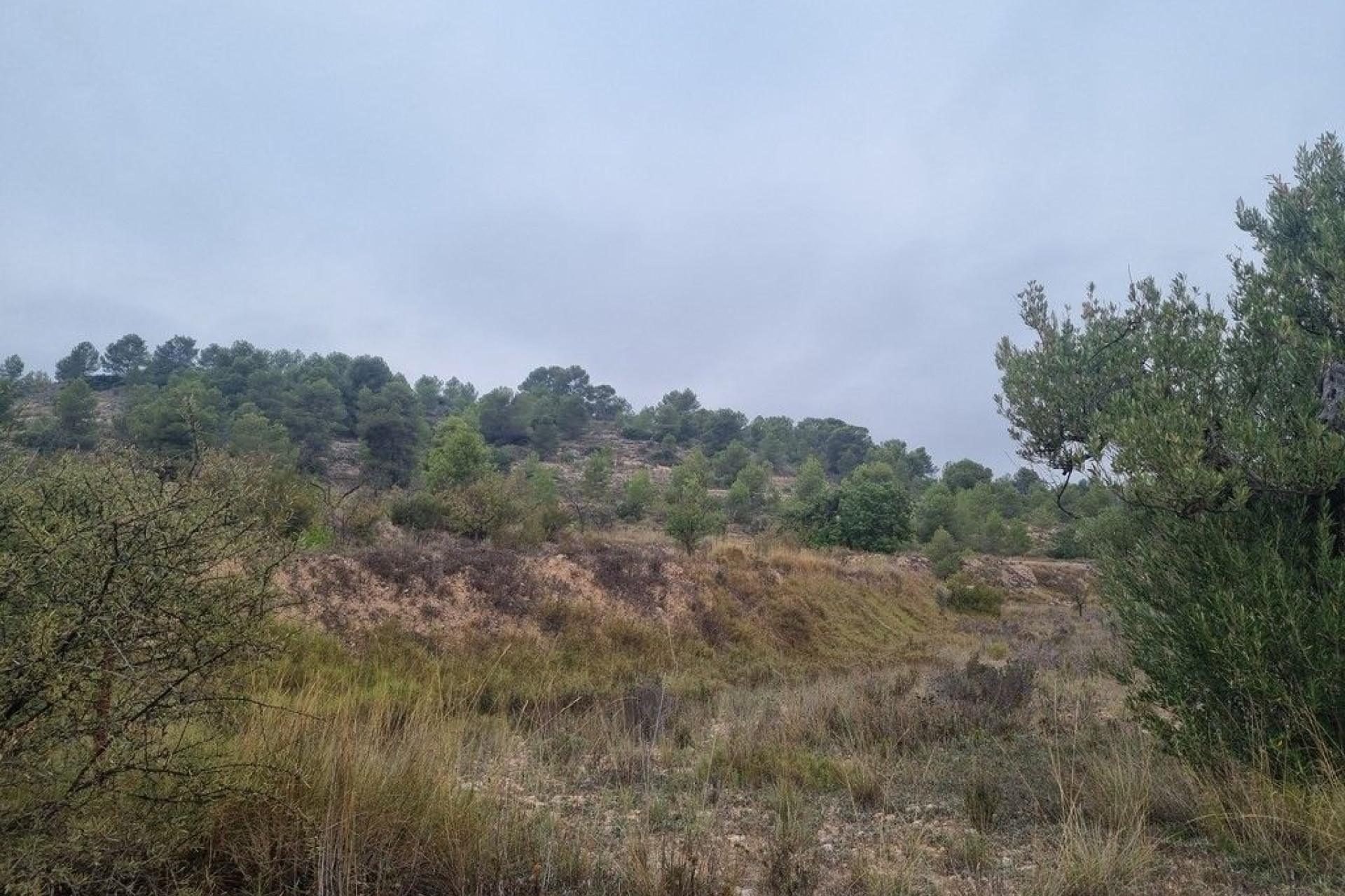 Resale - Country House - La Romana