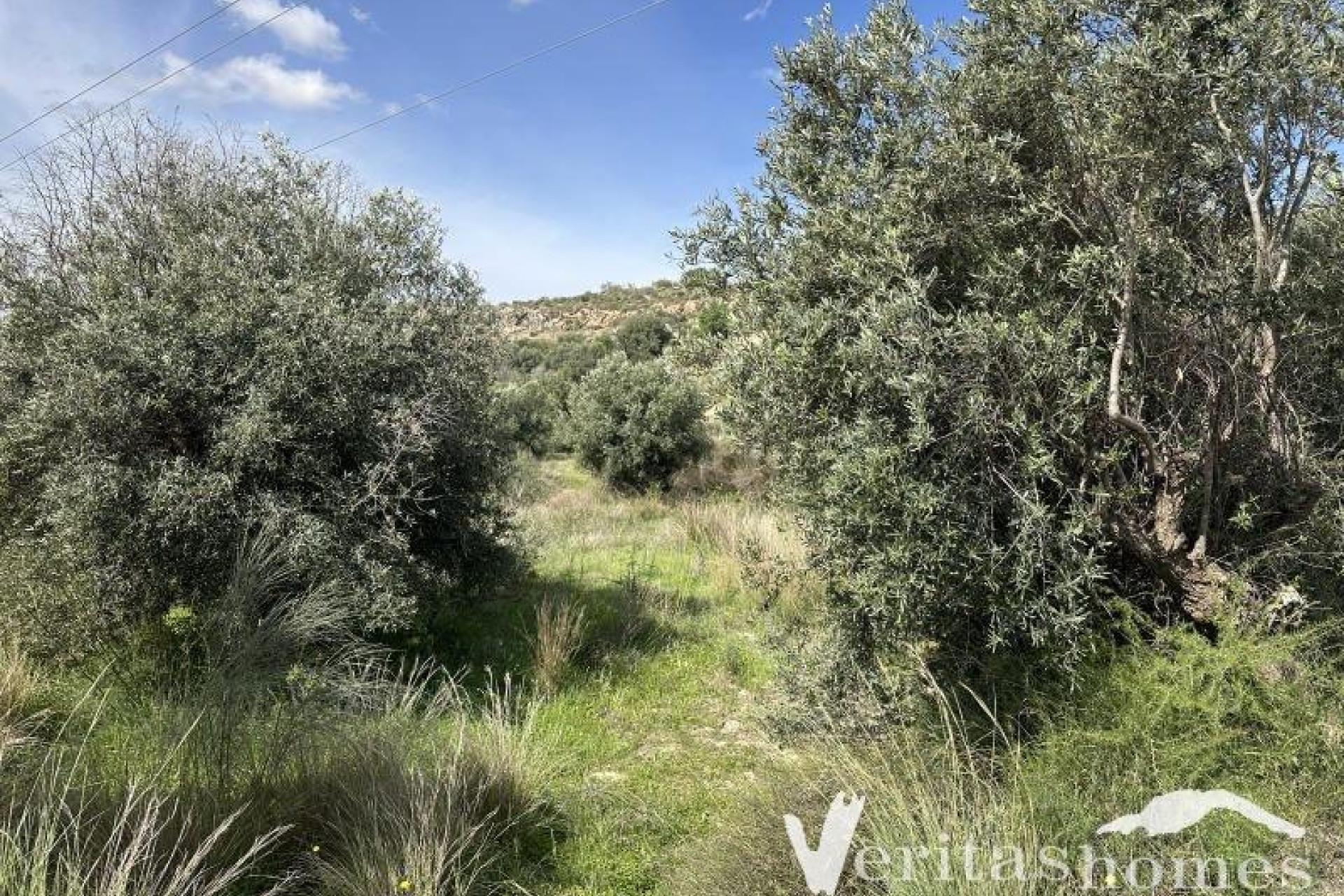 Resale - Country House - Los Gallardos