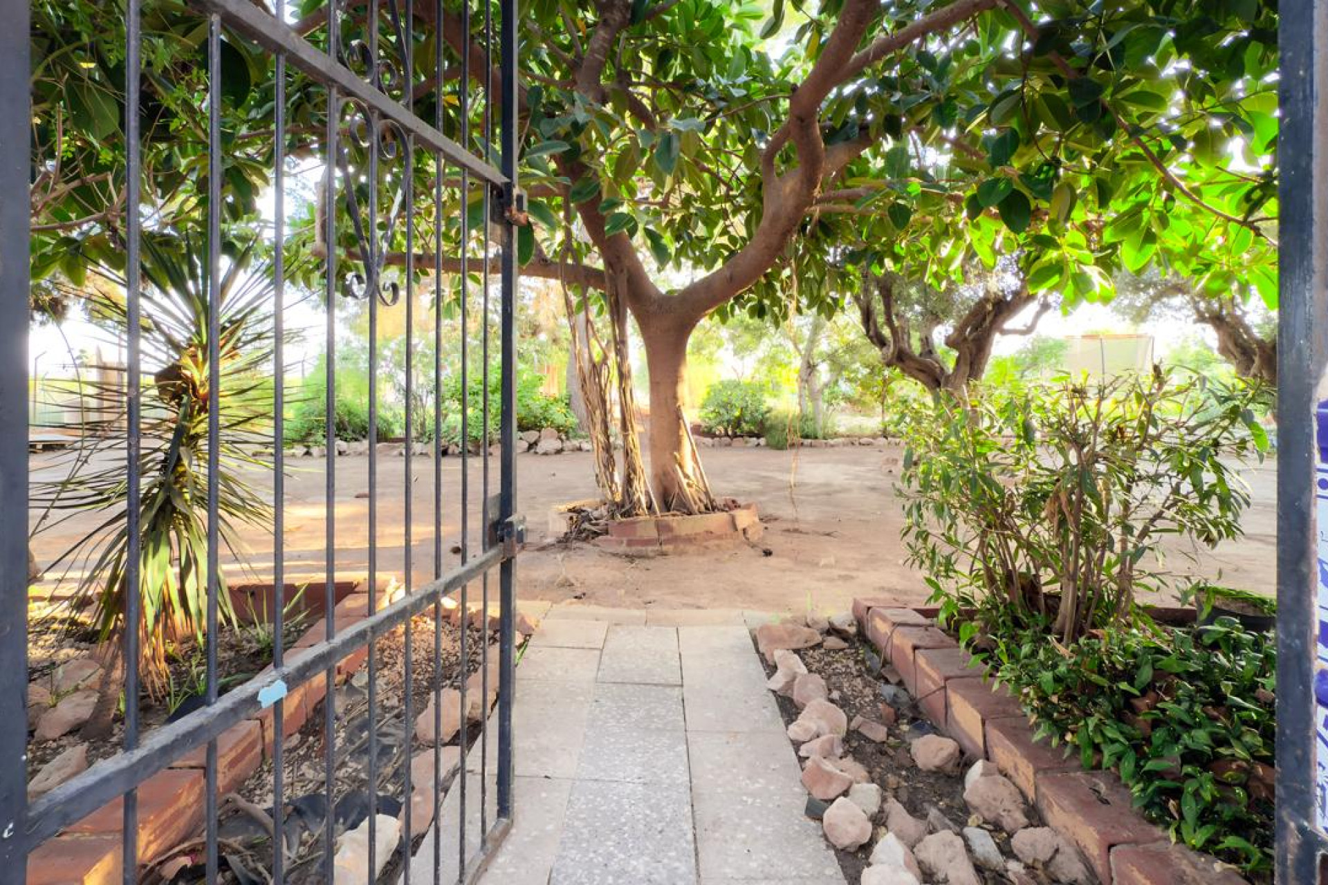 Resale - Country House - Los Montesinos - los montesinos