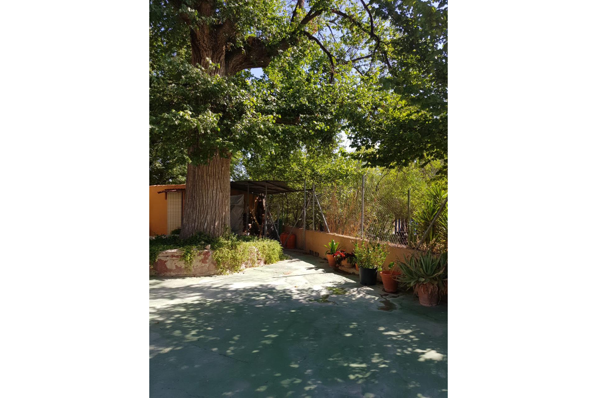 Resale - Country House - monovar