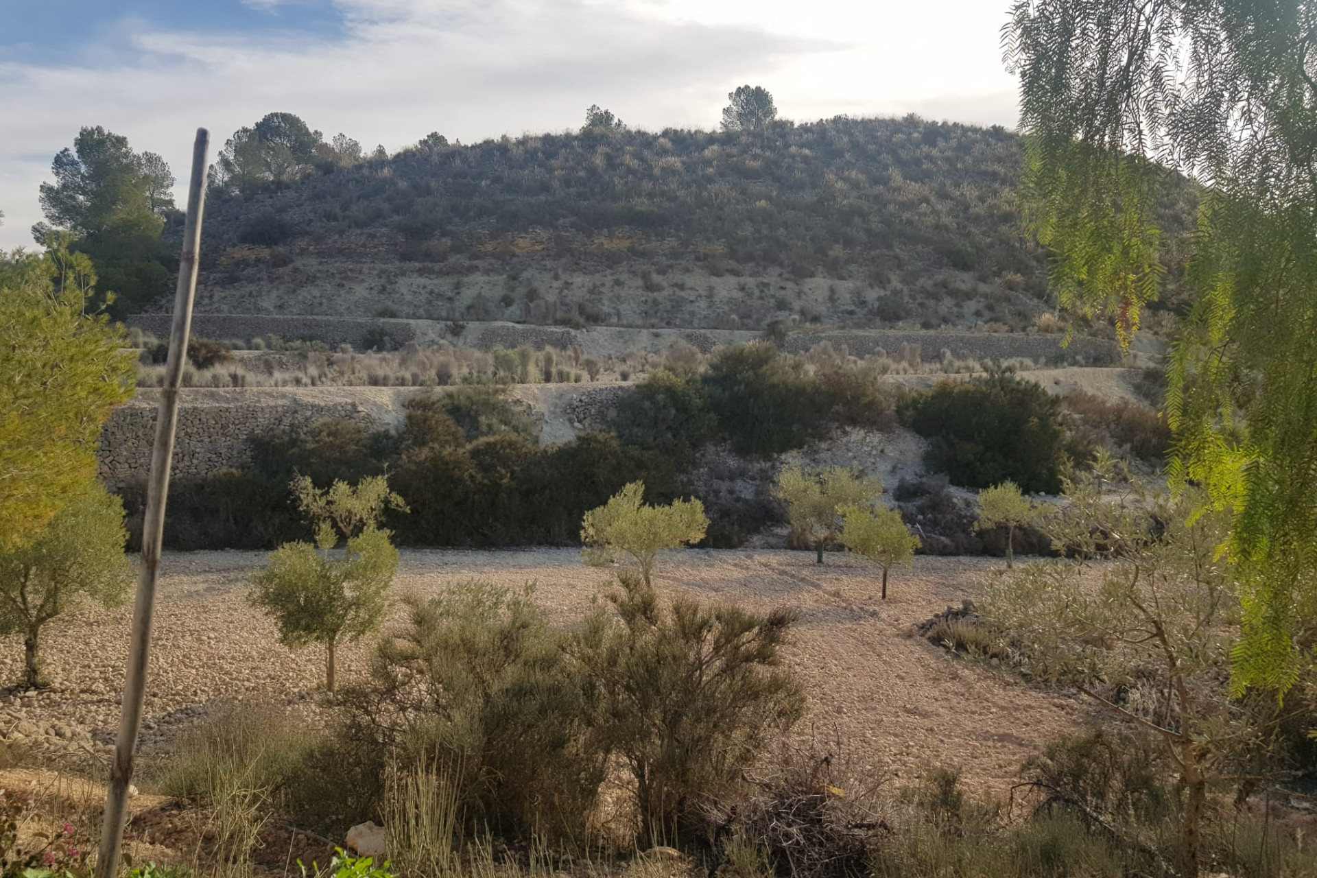 Resale - Country House - monovar