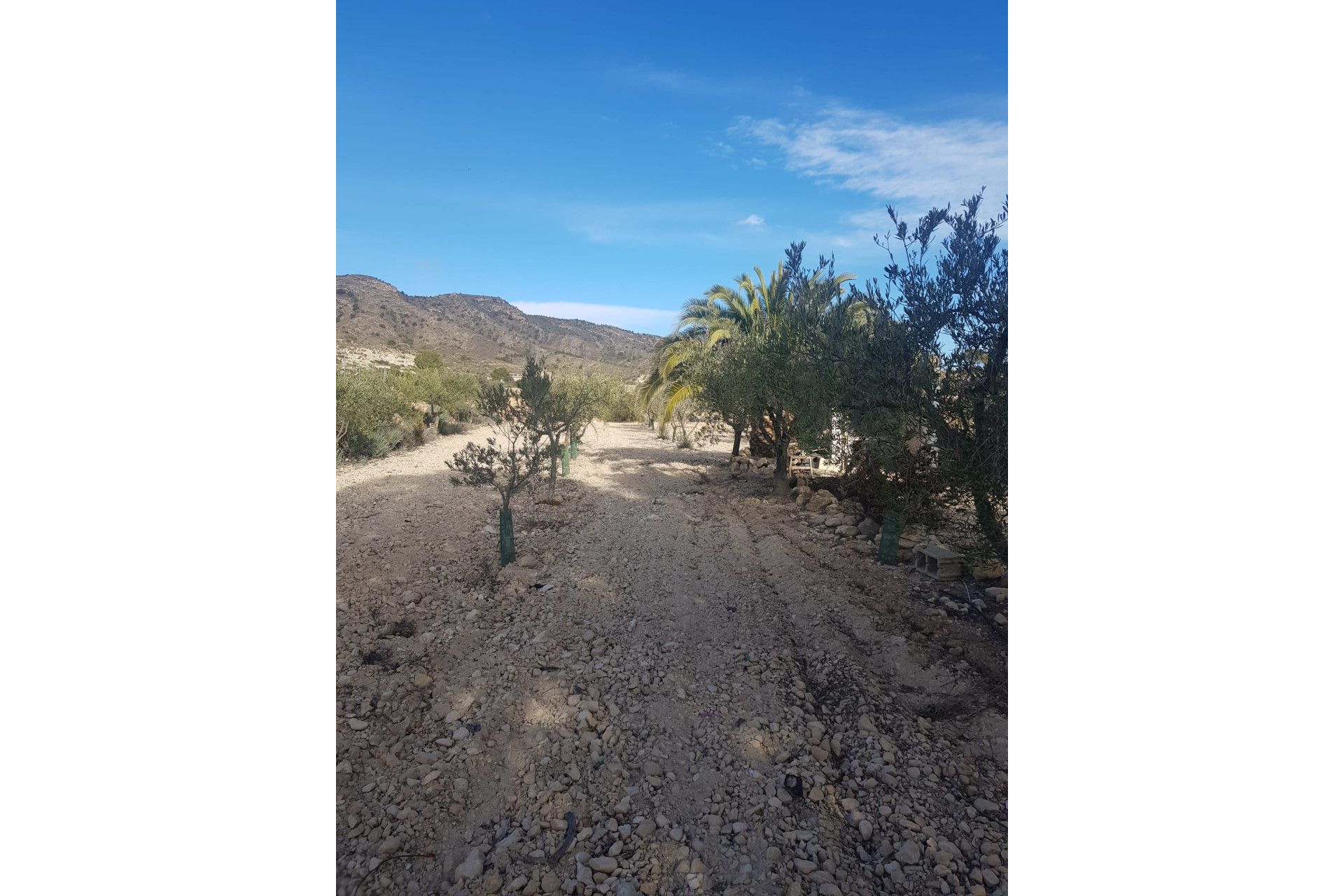 Resale - Country House - monovar