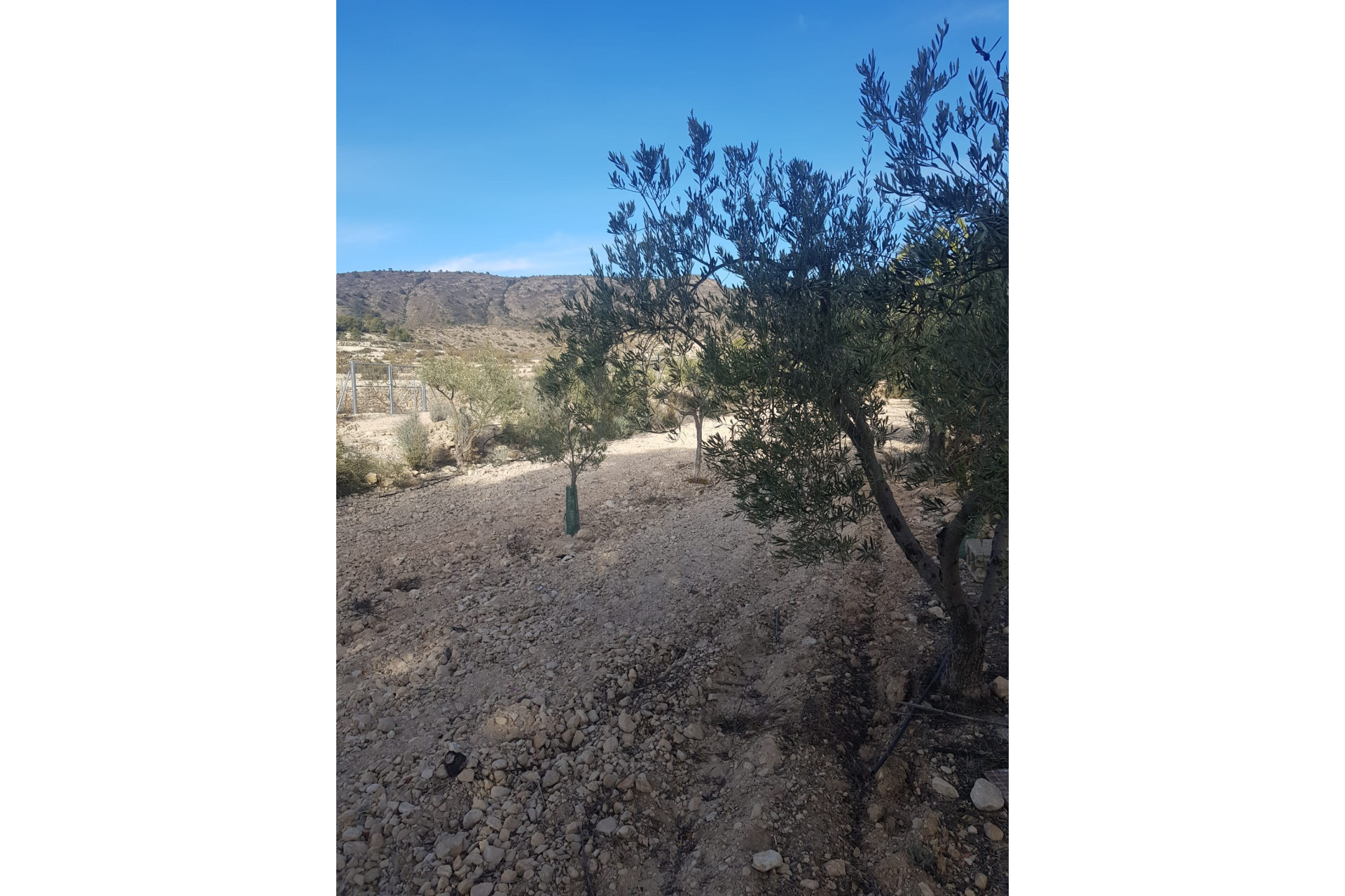 Resale - Country House - monovar