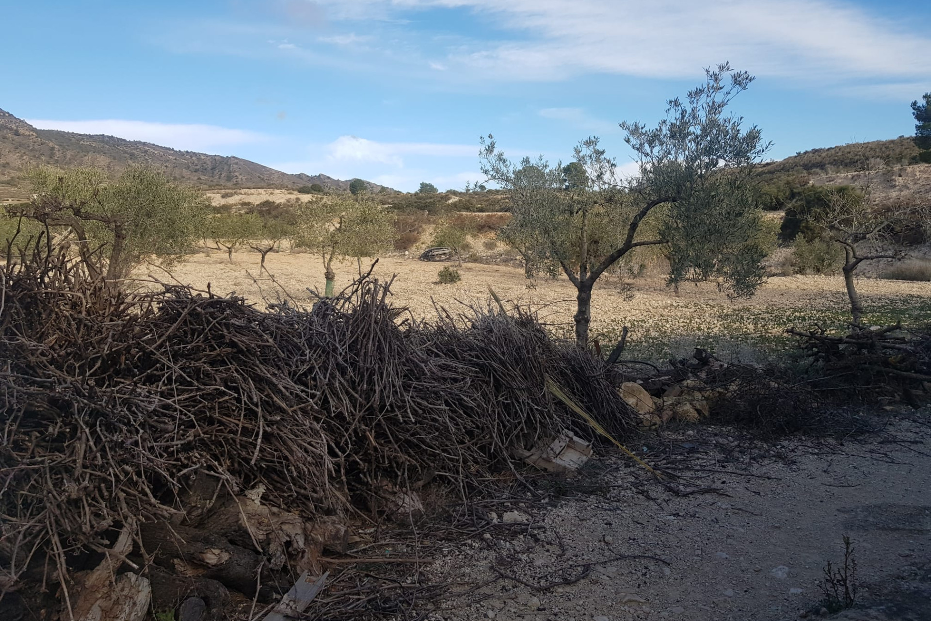 Resale - Country House - monovar