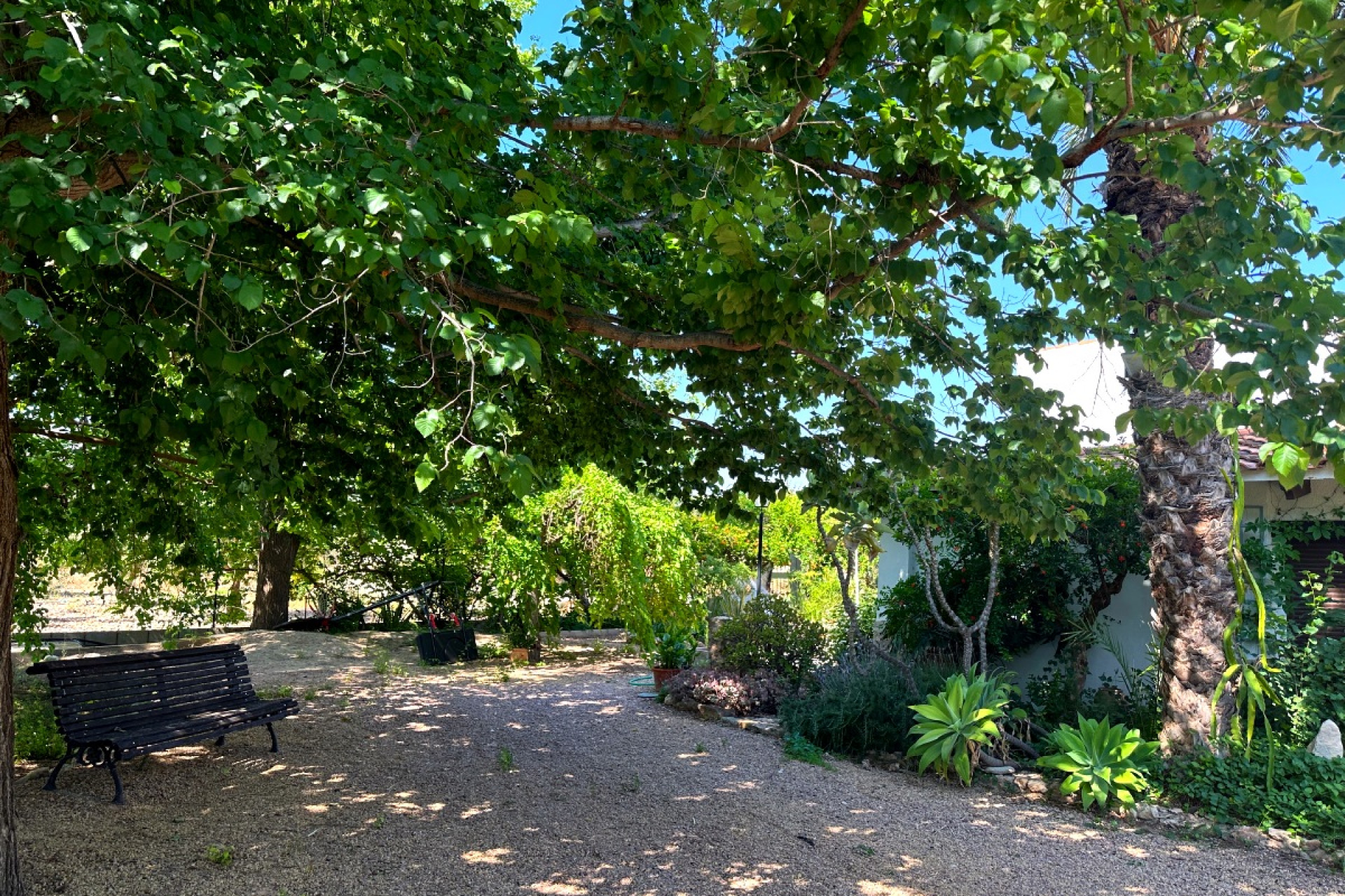 Resale - Country House - Novelda