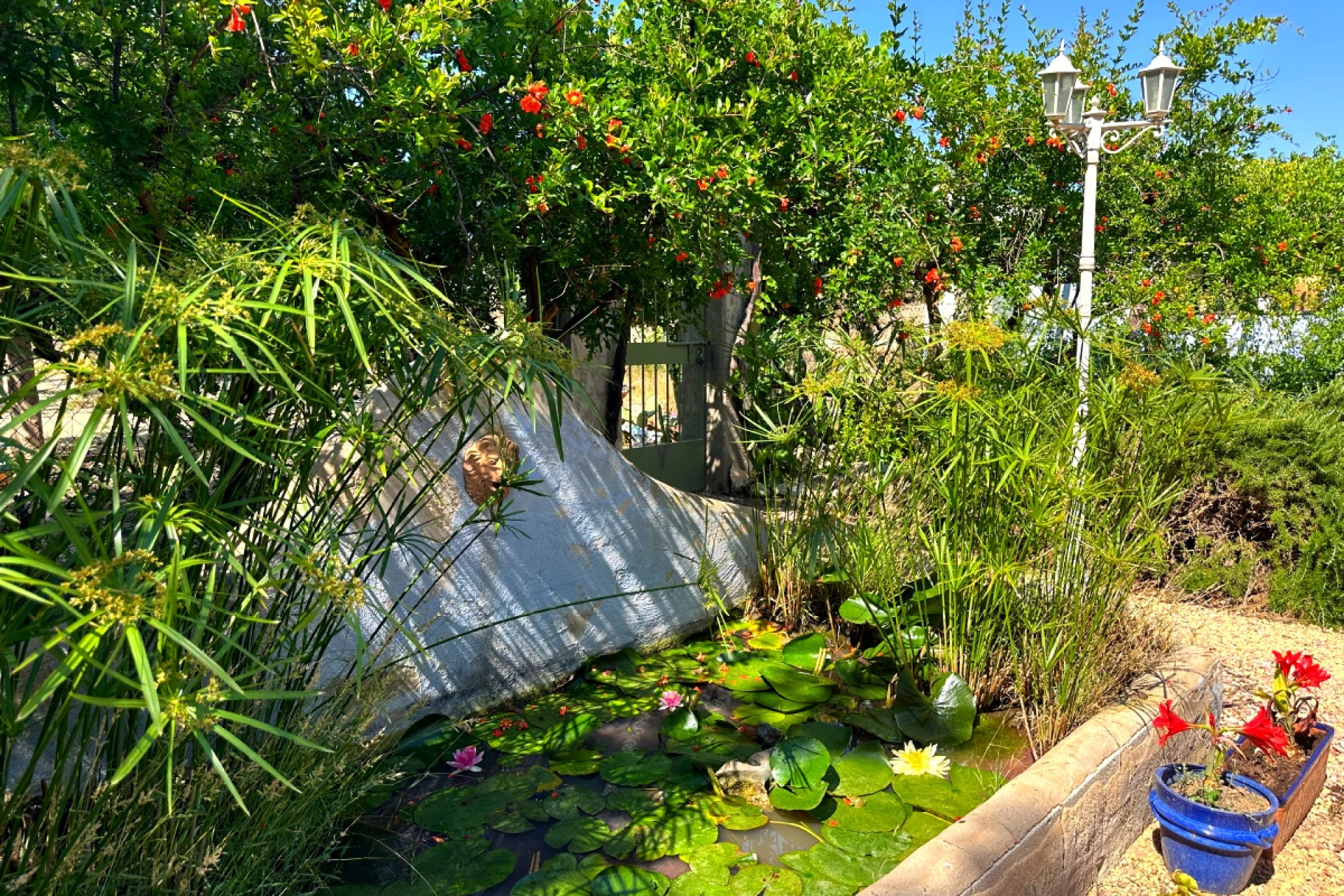 Resale - Country House - Novelda