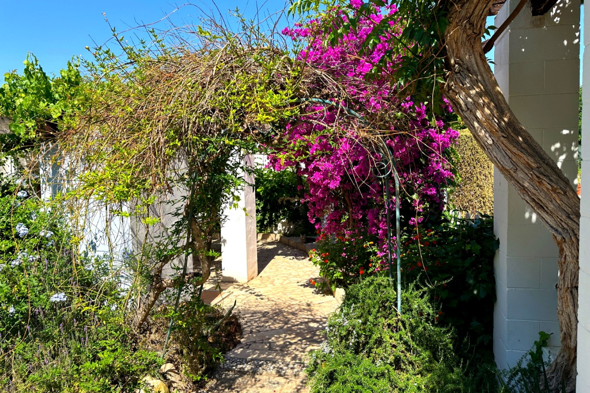 Resale - Country House - Novelda