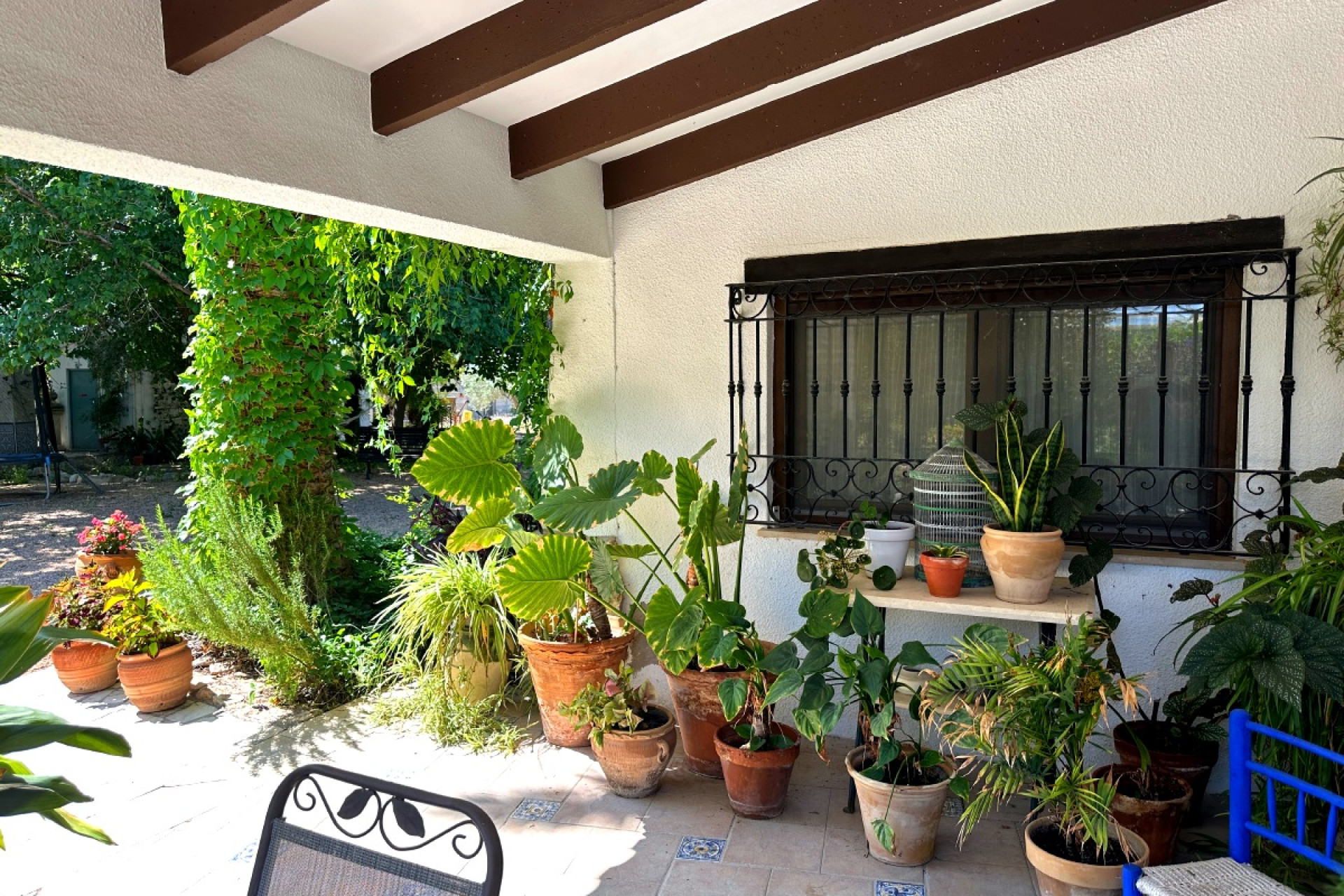 Resale - Country House - Novelda