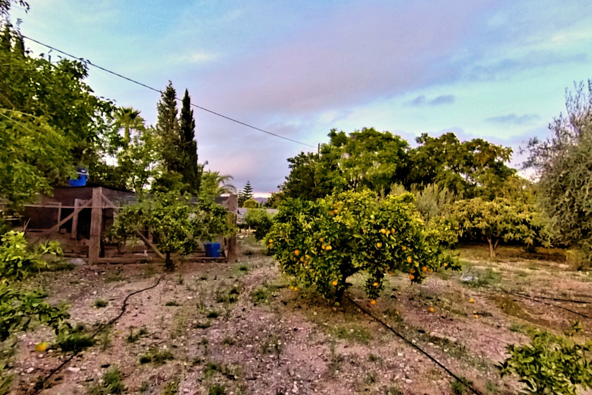 Resale - Country House - Novelda