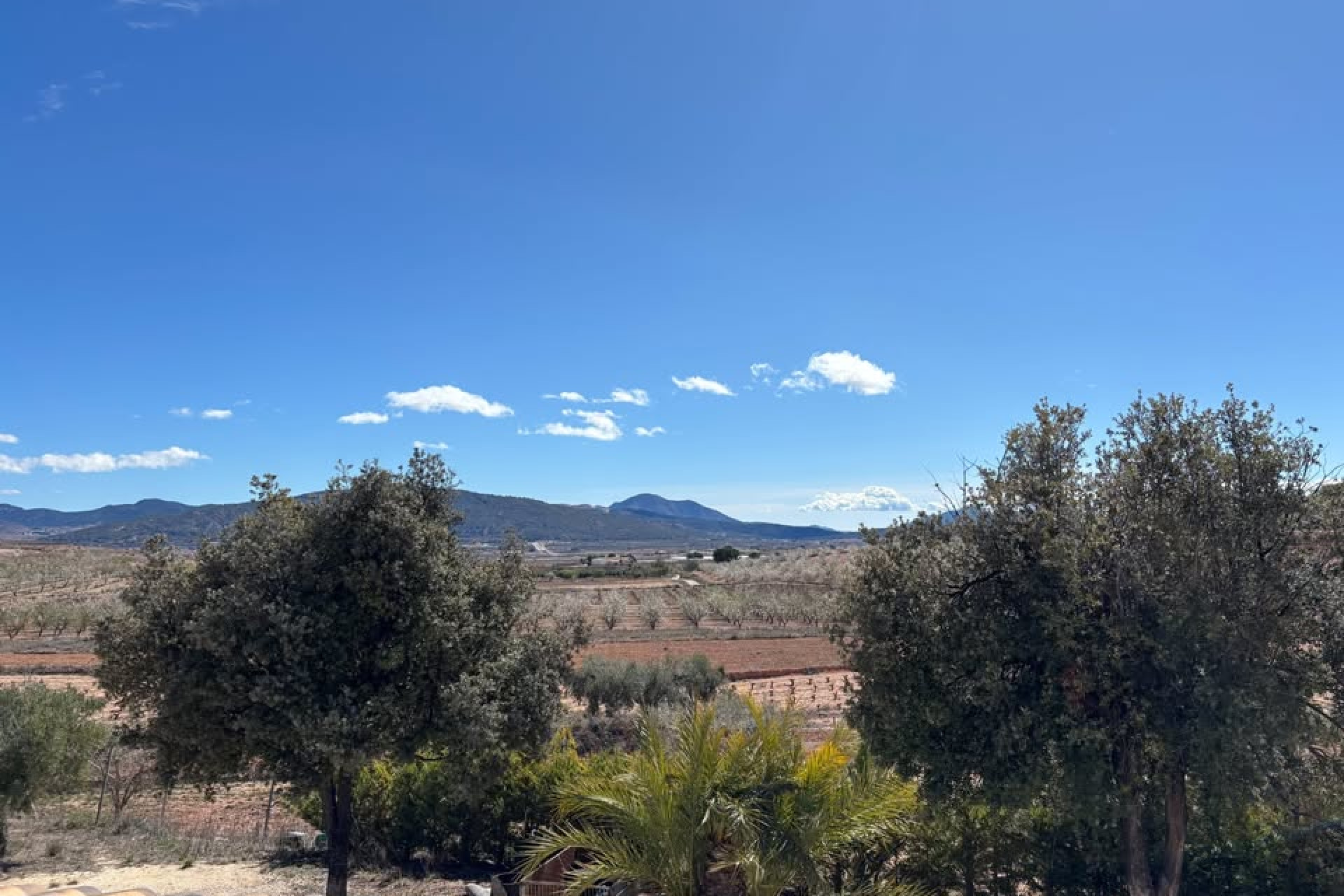 Resale - Country House - PINOSO