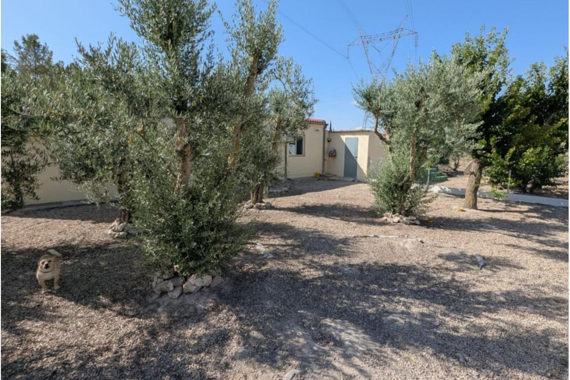 Resale - Country House - SAX