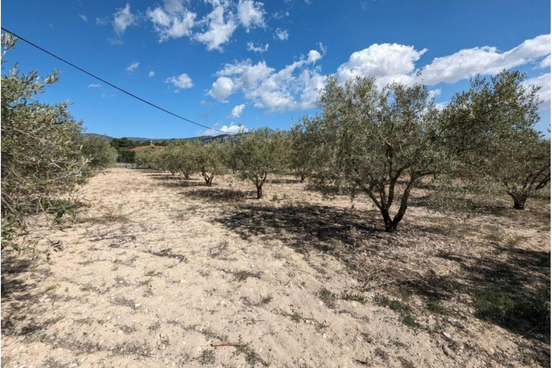 Resale - Country House - SAX