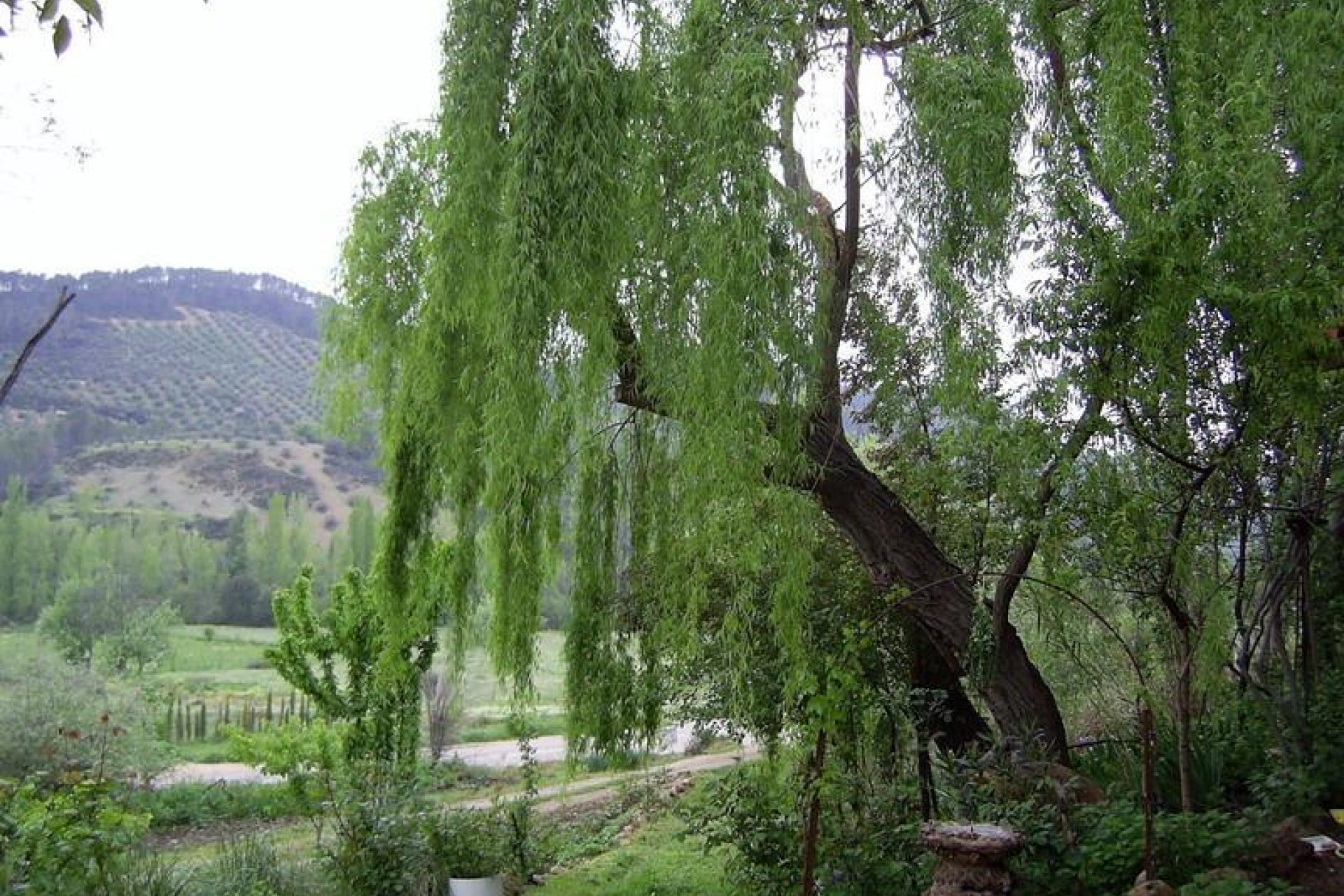 Resale - Country House - Villaverde de Guadalimar