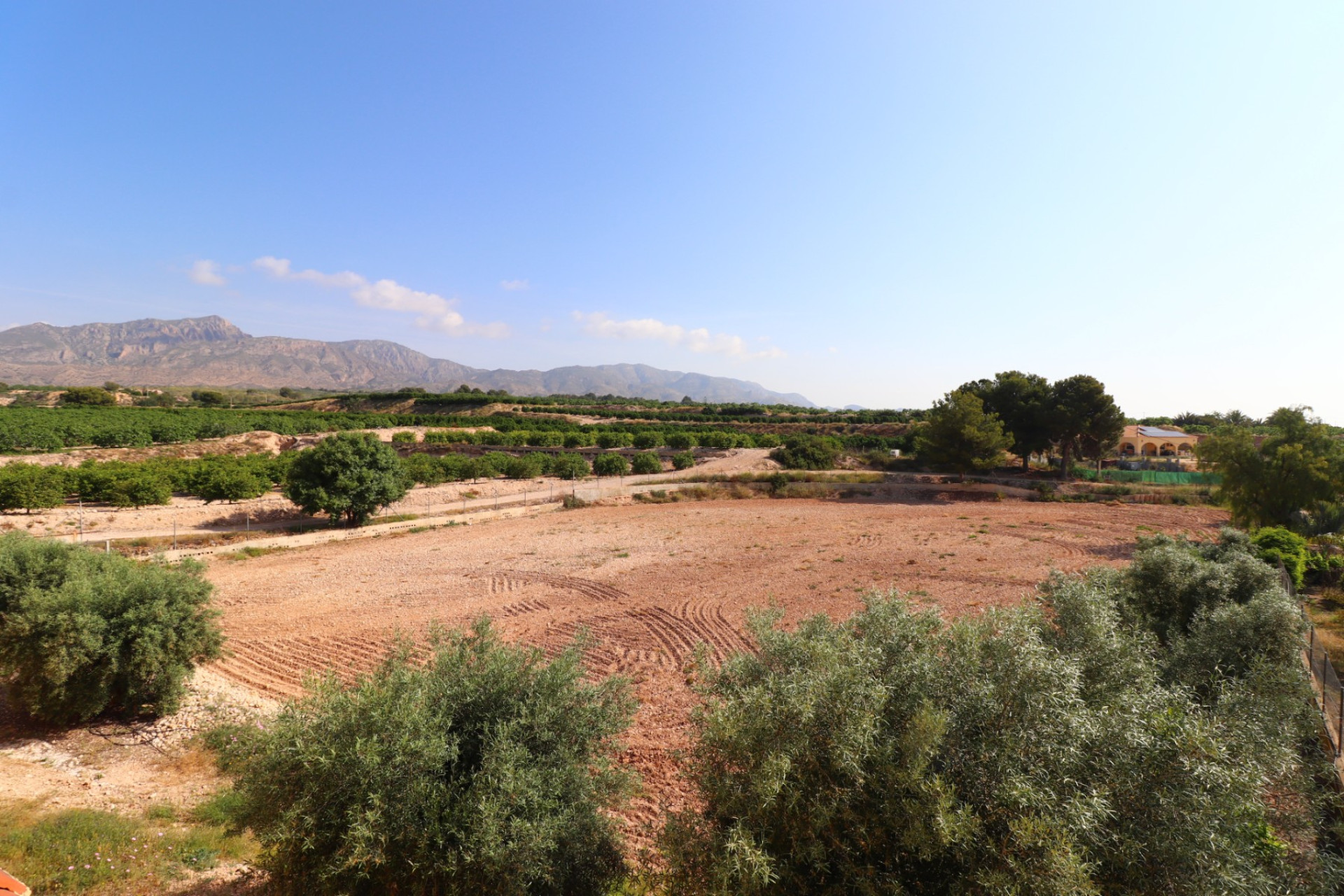 Resale - Country Property - Albatera - Albatera - Country