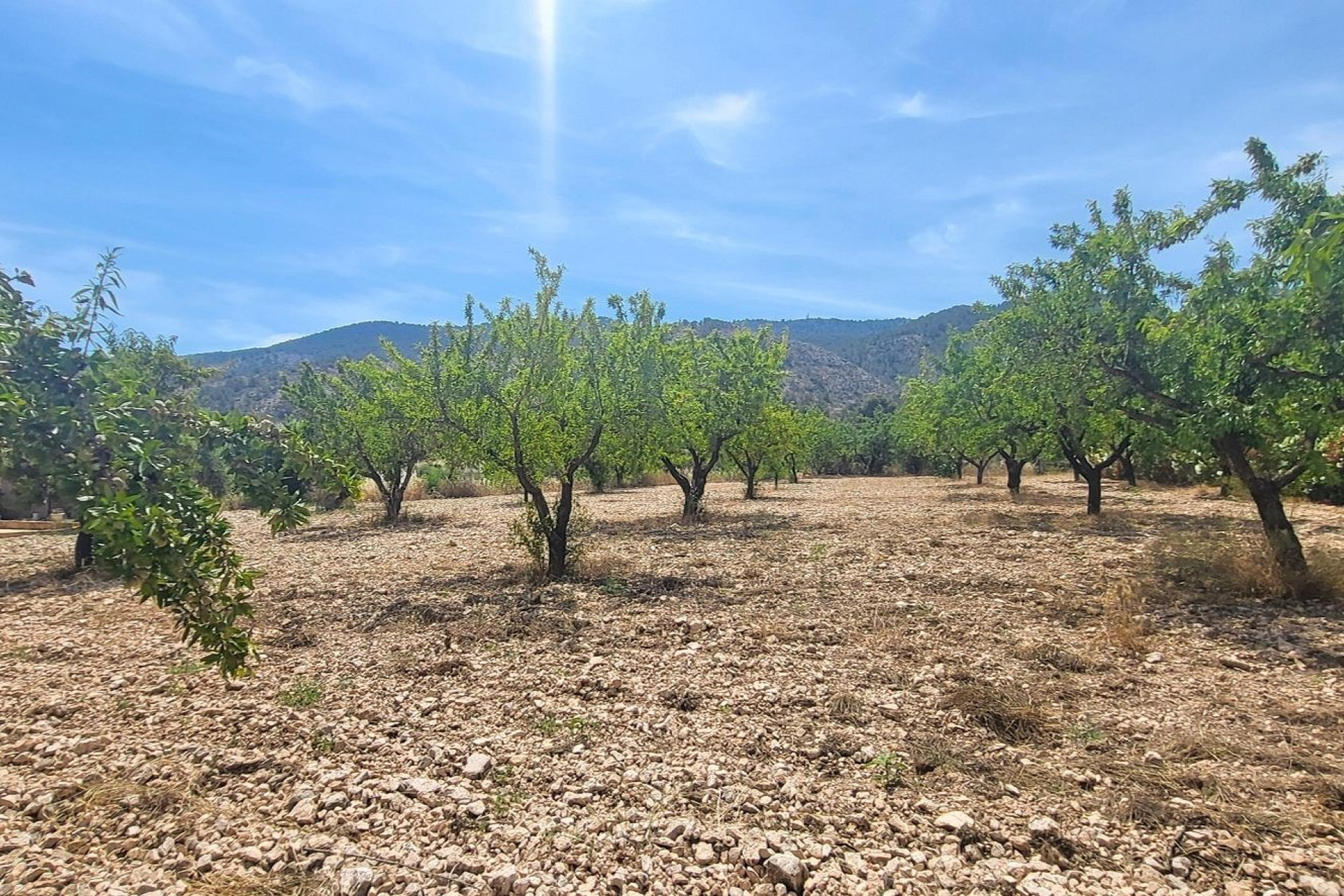 Resale - Country Property - Hondon - Hondon de Las Nieves