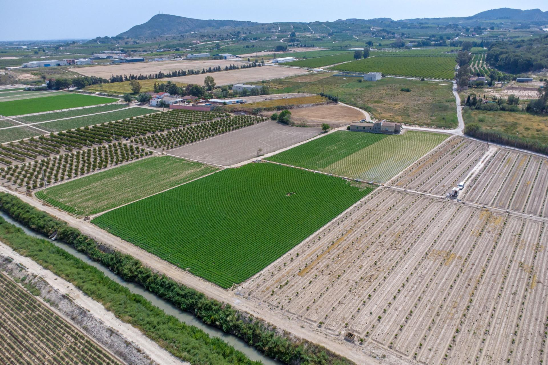 Resale - Country Property - Orihuela - Los Desamparados