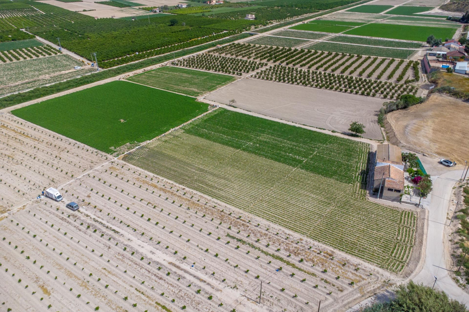 Resale - Country Property - Orihuela - Los Desamparados