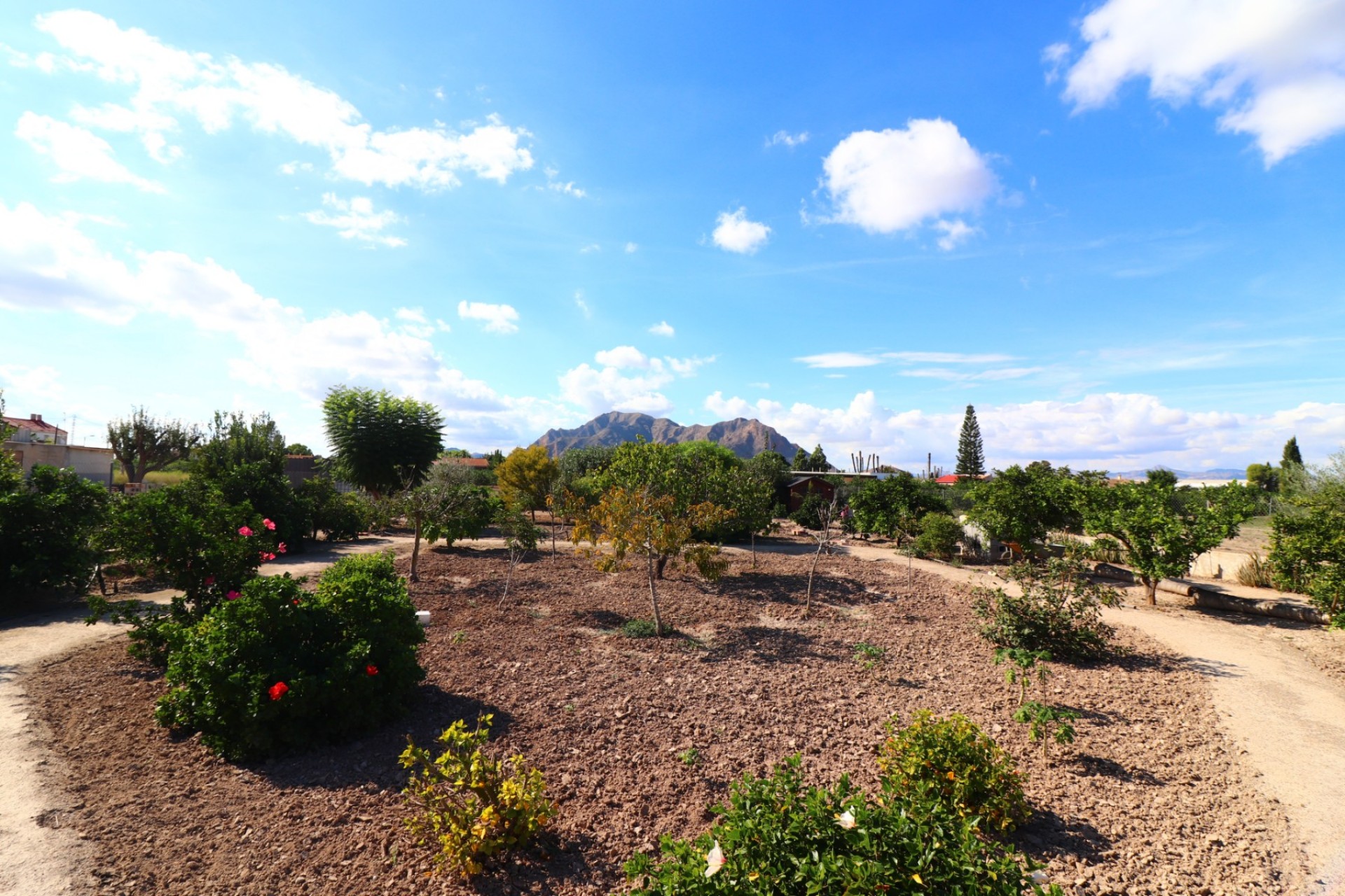 Resale - Country Property - Rafal - El Mudamiento