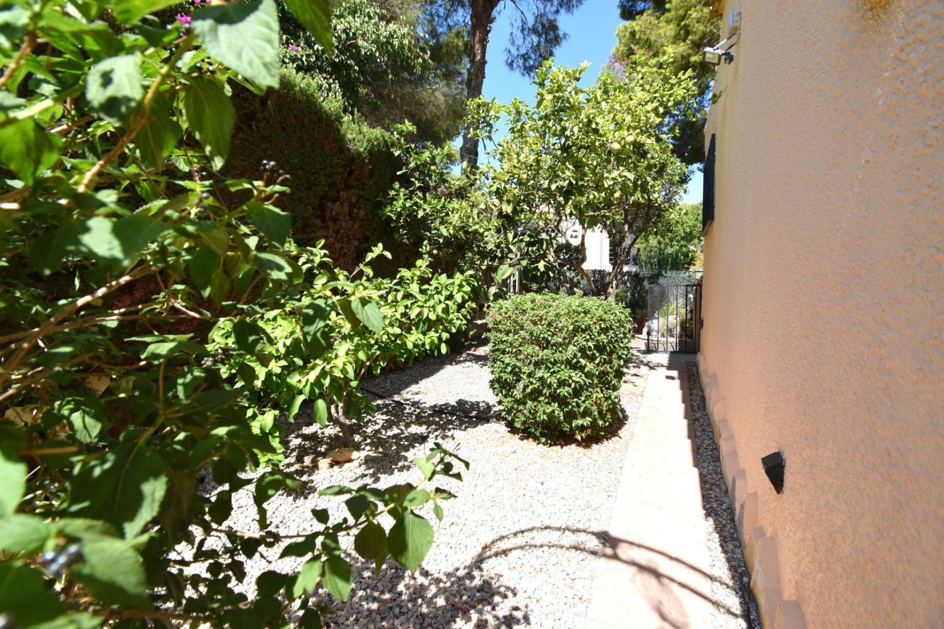 Resale - Detached Villa - Orihuela Costa - Los Balcones