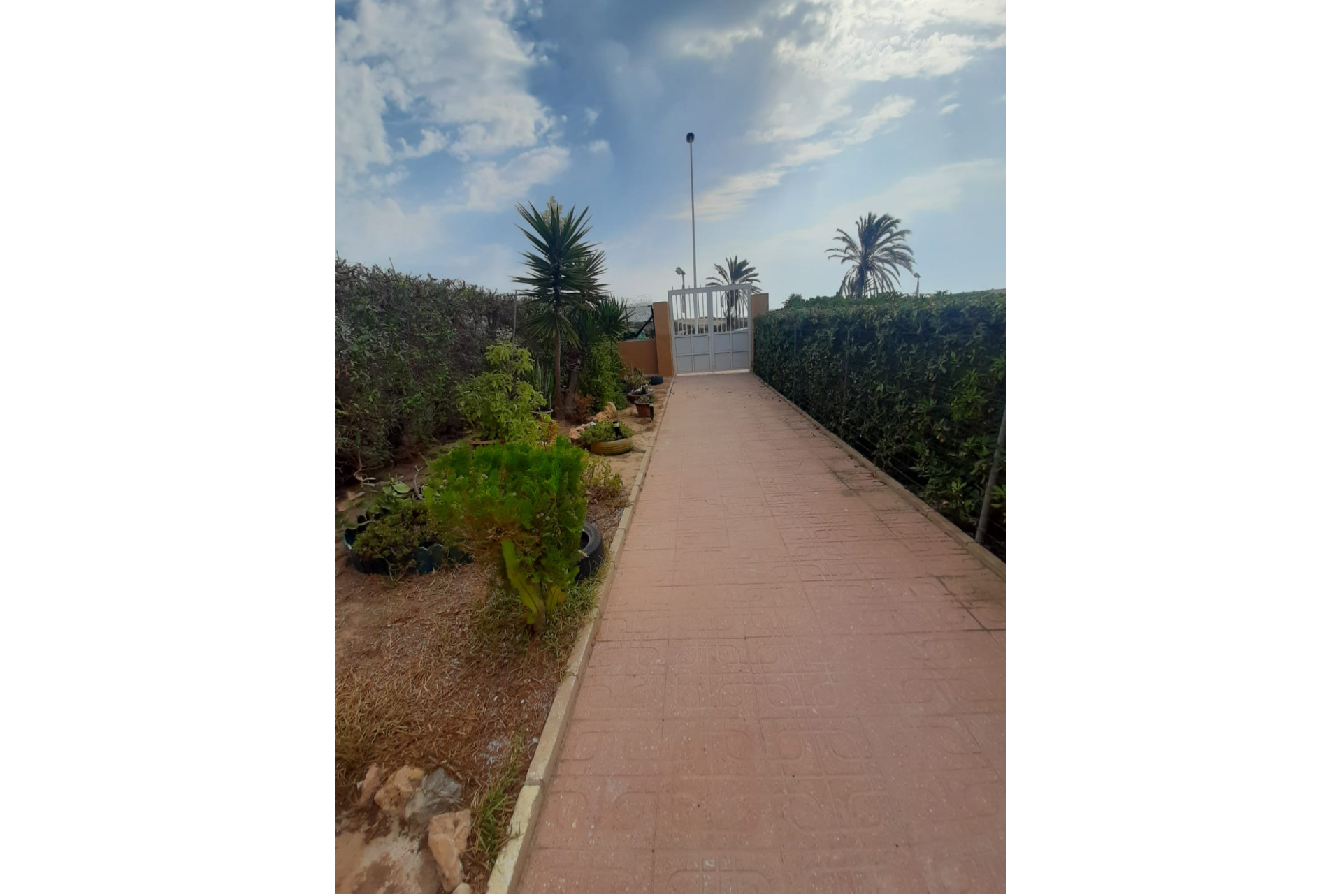 Resale - Duplex - Torrevieja