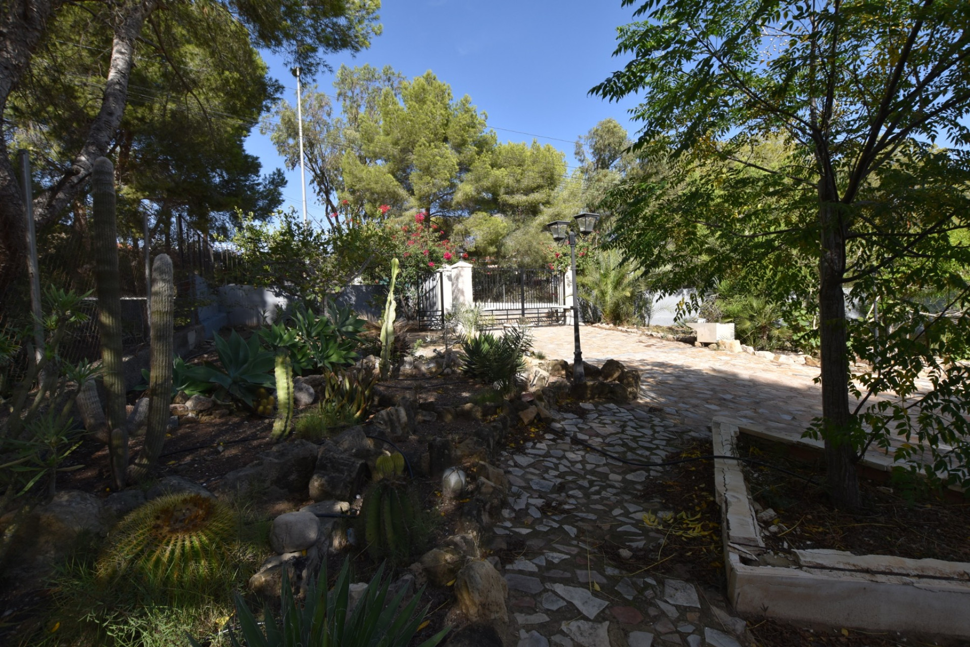 Resale - finca - Algorfa - Montemar