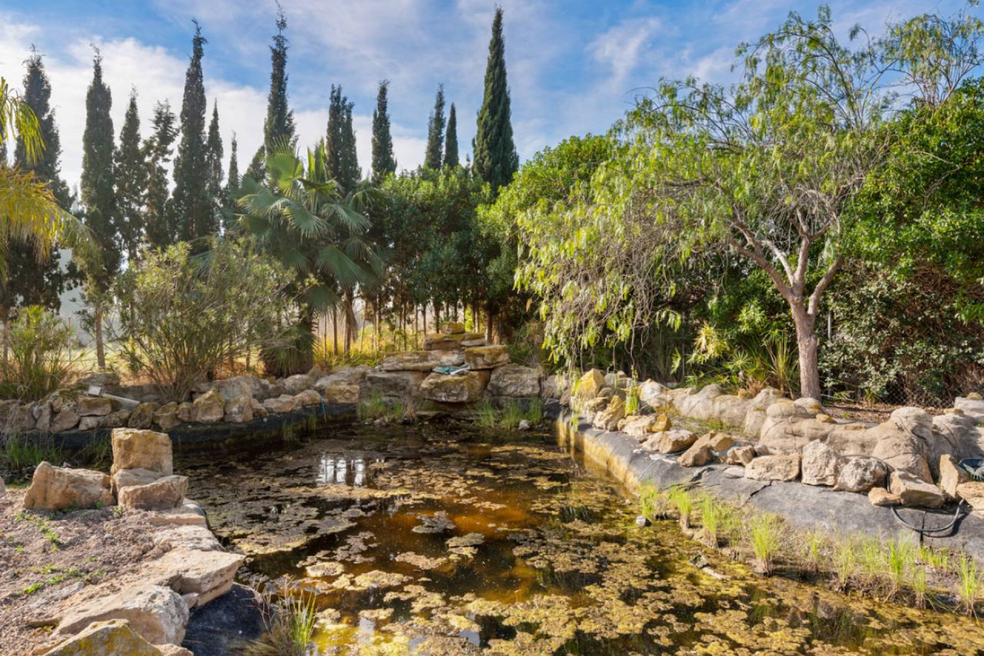 Resale - Finca / Country Property - Catral