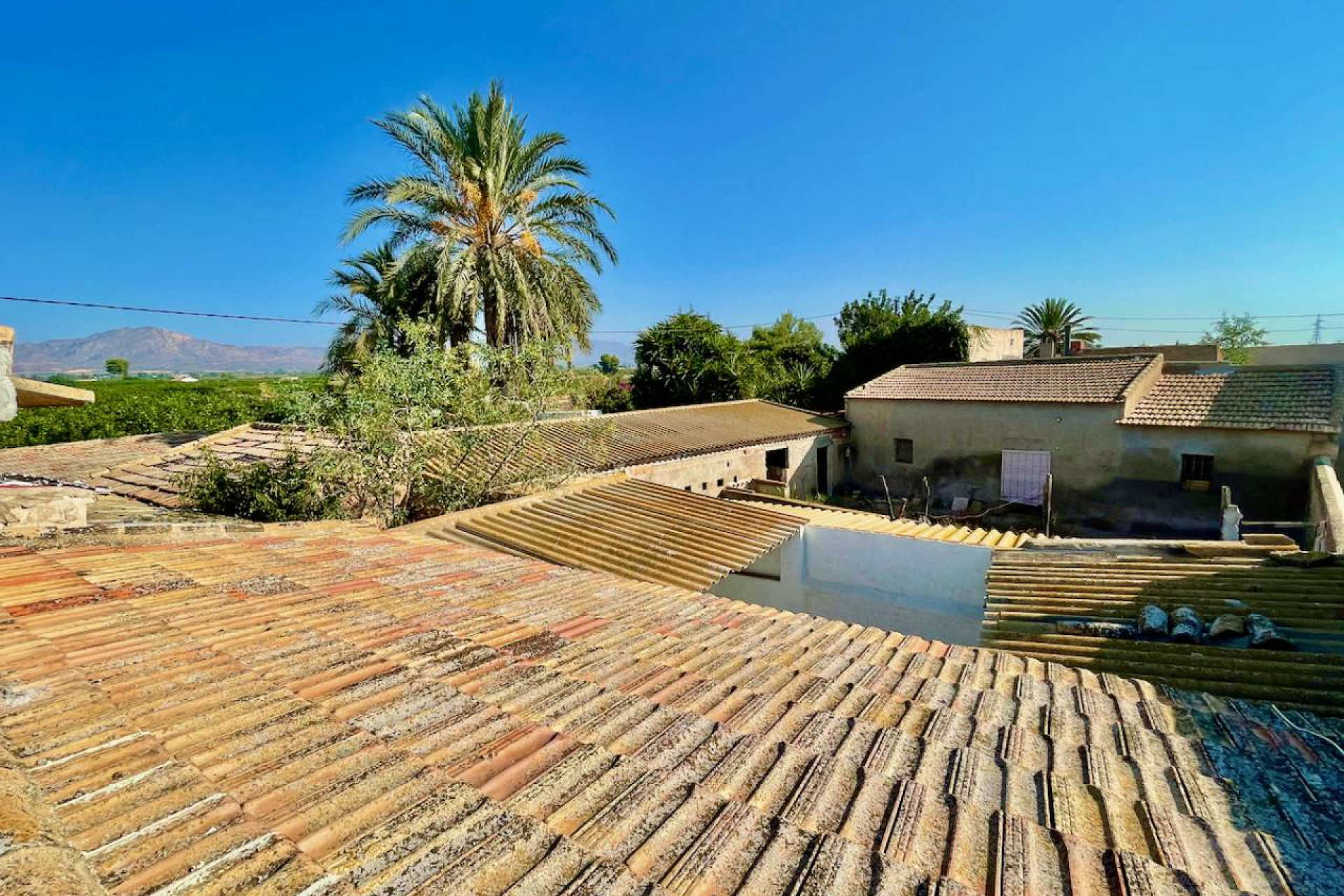 Resale - Finca / Country Property - La Murada - LA MURADA