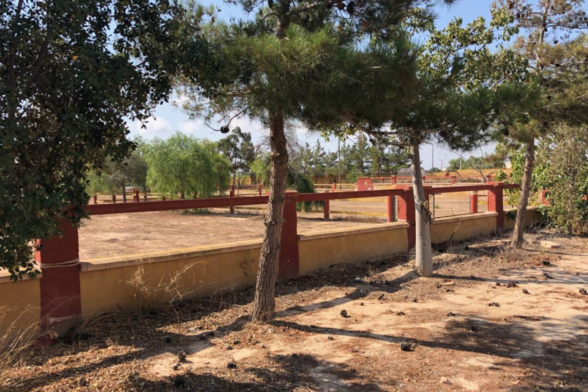 Resale - Finca / Country Property - Los Montesinos - los montesinos