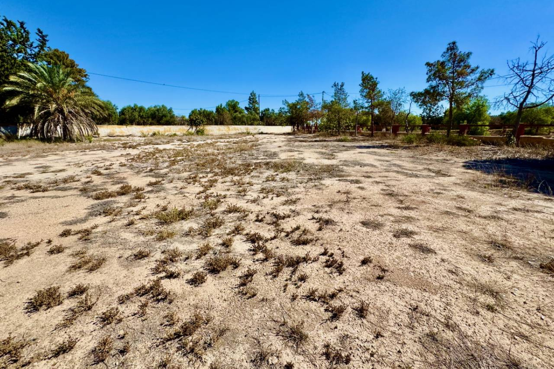 Resale - Finca / Country Property - Los Montesinos - los montesinos