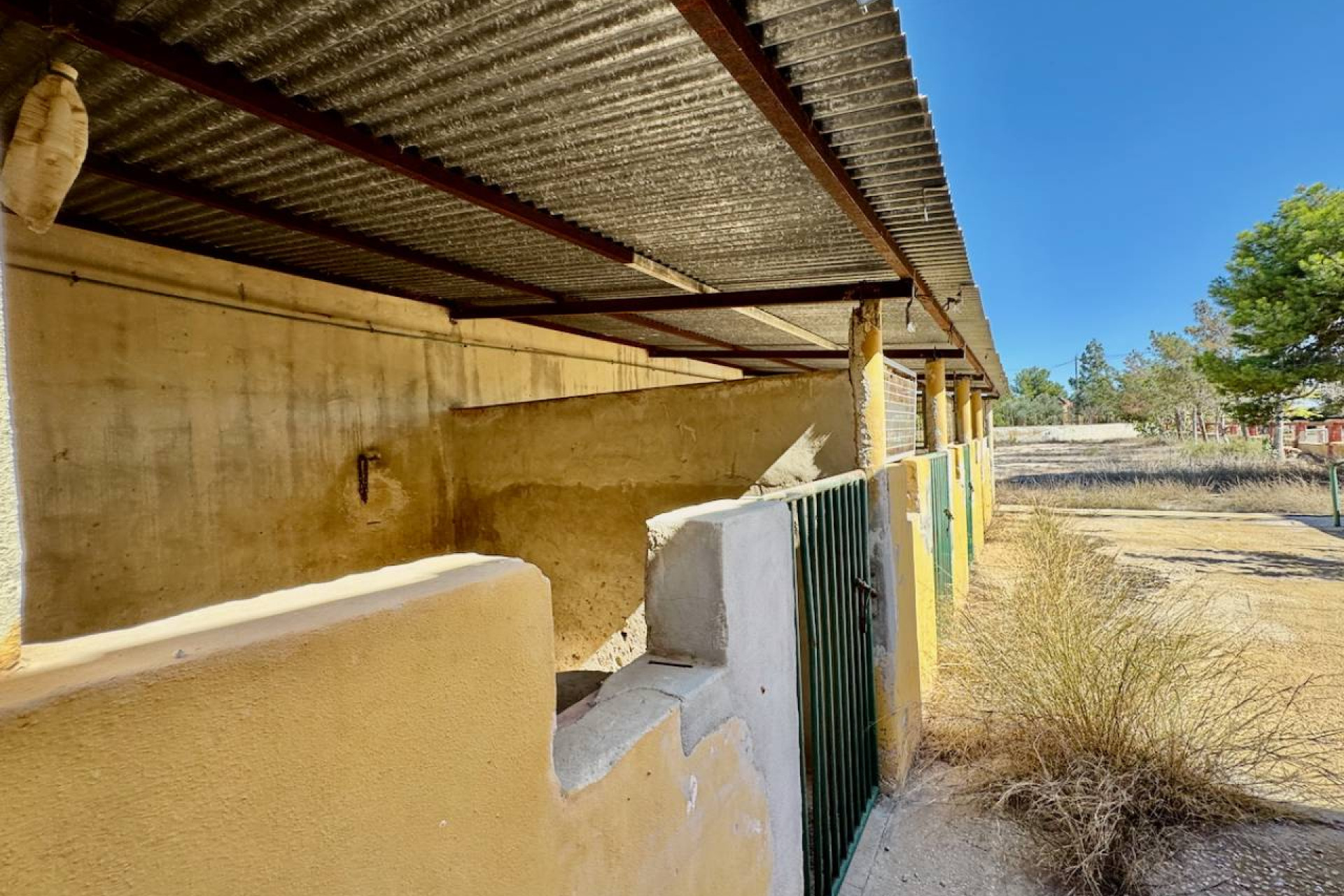 Resale - Finca / Country Property - Los Montesinos - los montesinos