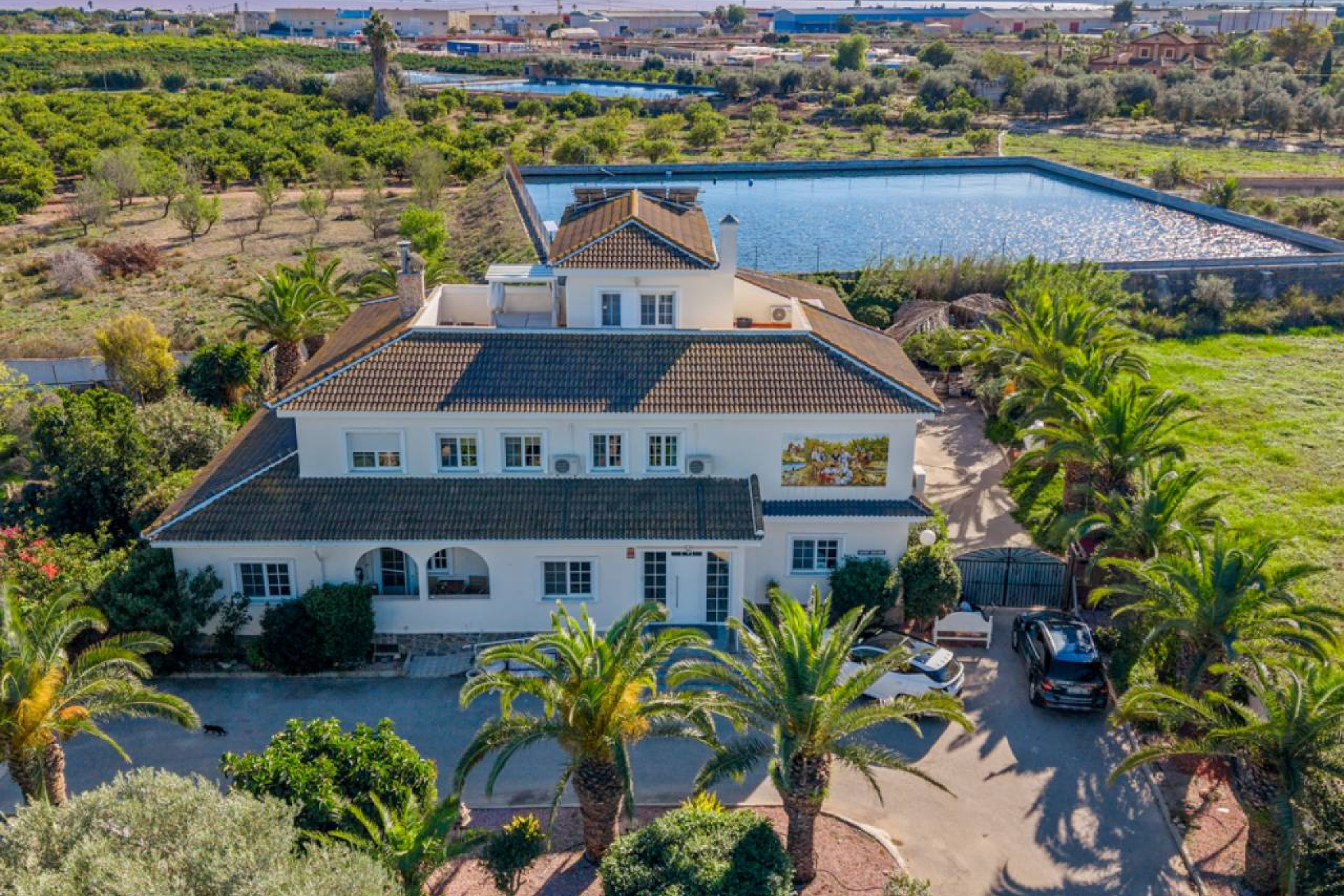 Resale - Finca / Country Property - Los Montesinos - los montesinos