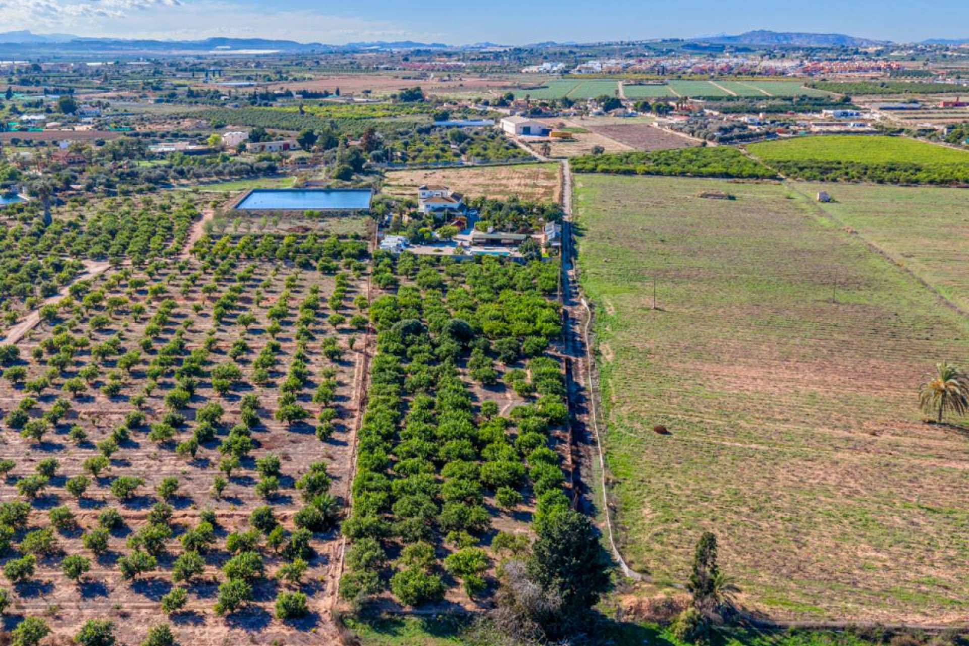 Resale - Finca / Country Property - Los Montesinos - los montesinos