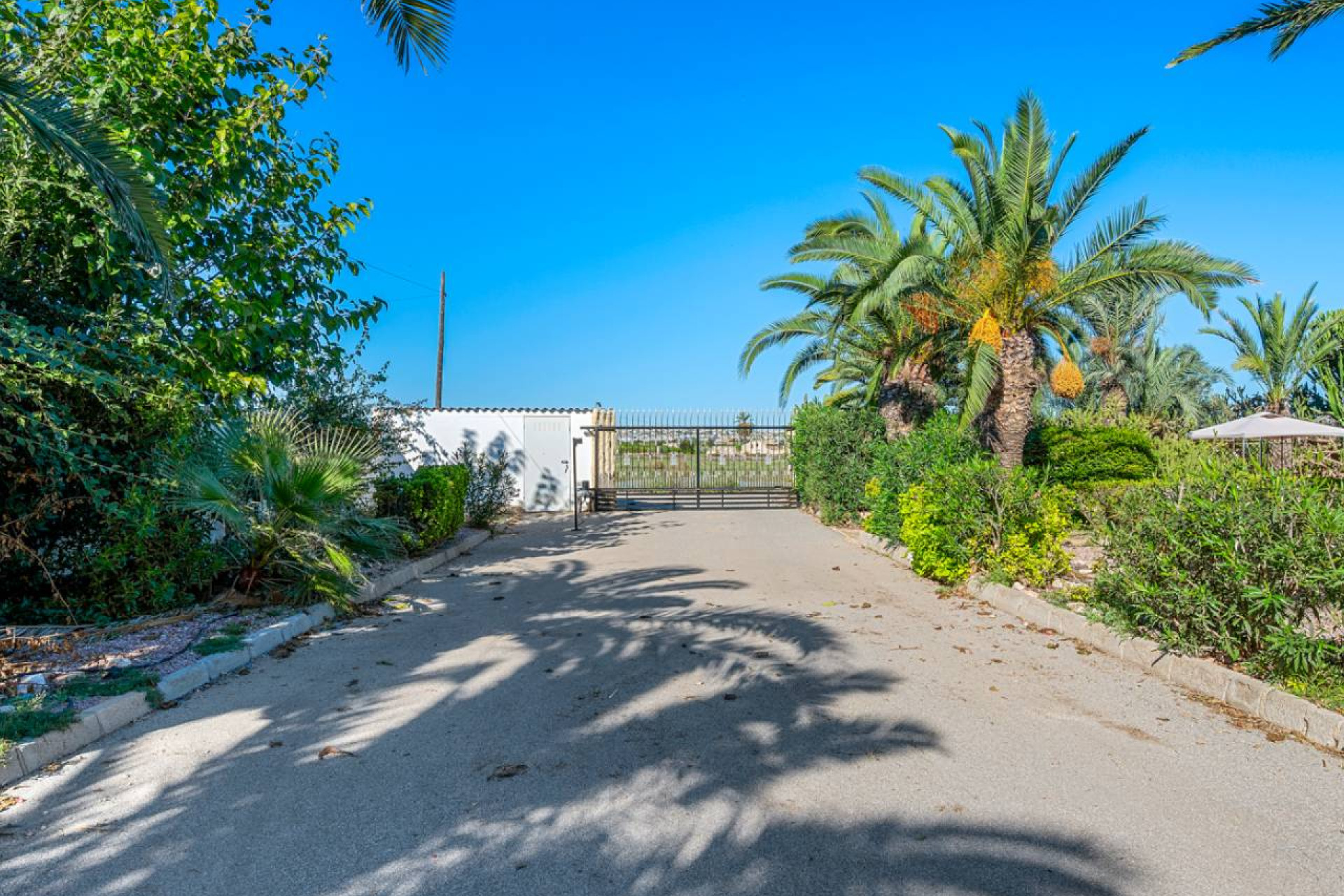 Resale - Finca / Country Property - Los Montesinos - los montesinos