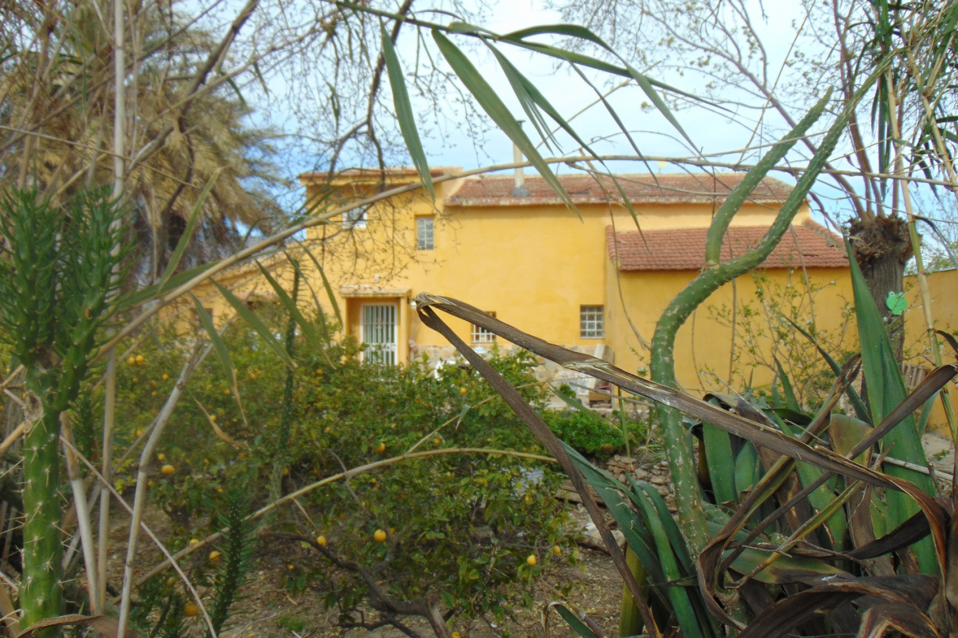 Resale - Finca for sale - Orihuela Costa - Orihuela