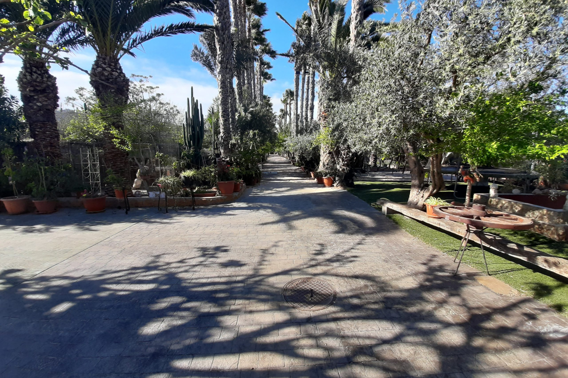 Resale - finca - Orihuela Costa - Orihuela