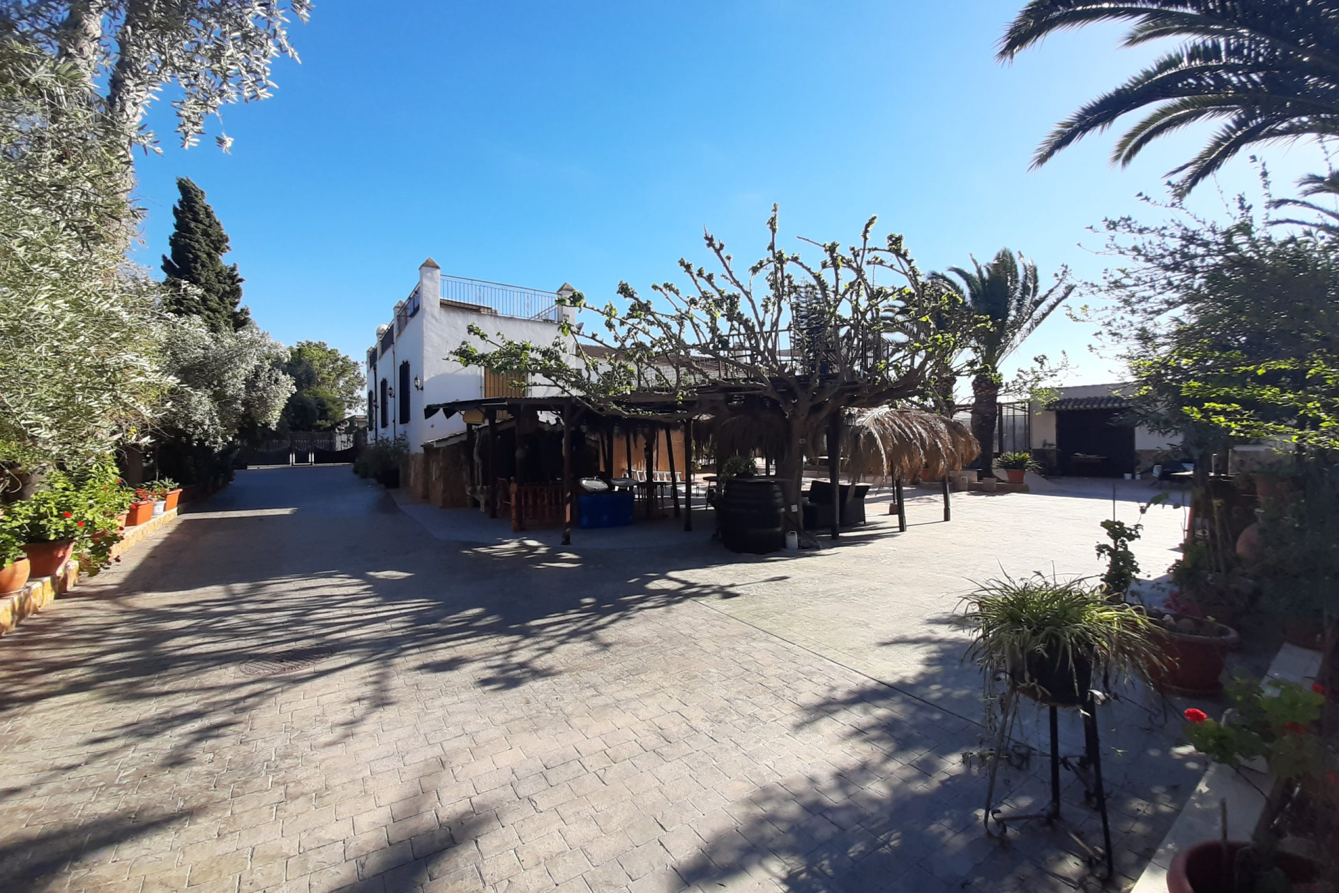 Resale - finca - Orihuela Costa - Orihuela