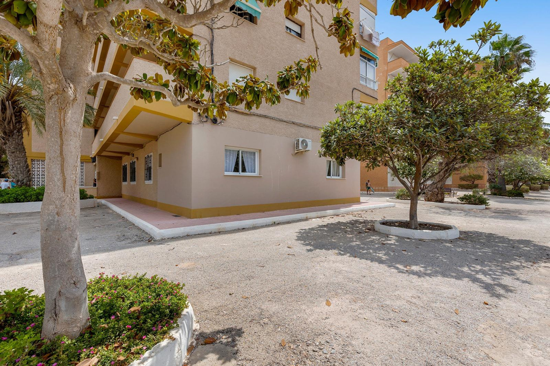 Resale - Ground Floor - Guardamar del Segura - Pinomar