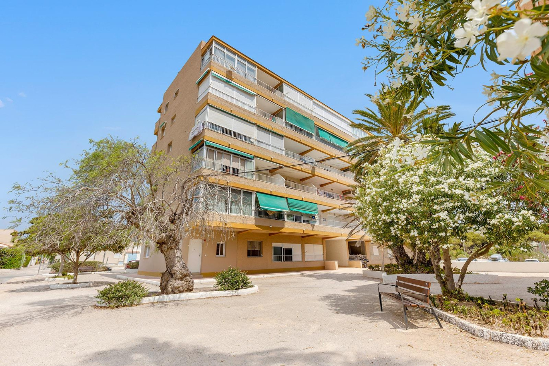 Resale - Ground Floor - Guardamar del Segura - Pinomar