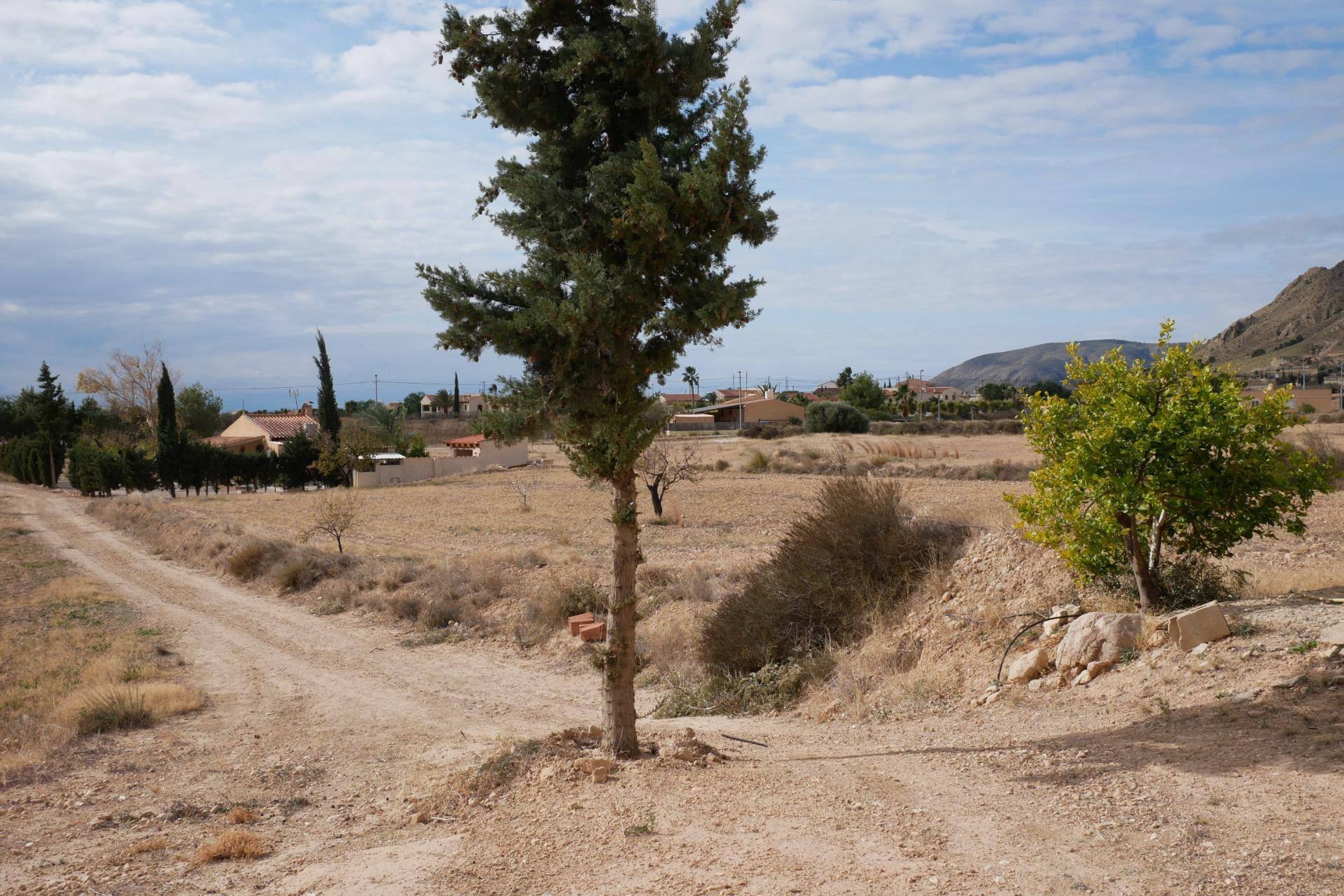 Resale - House - Abanilla - EL SALADO