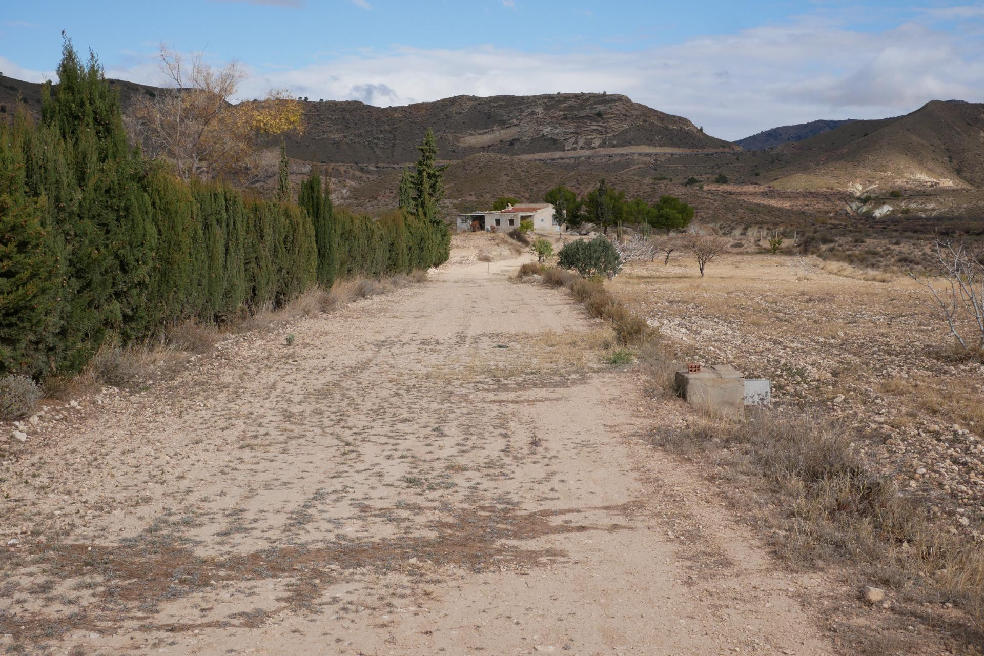 Resale - House - Abanilla - EL SALADO