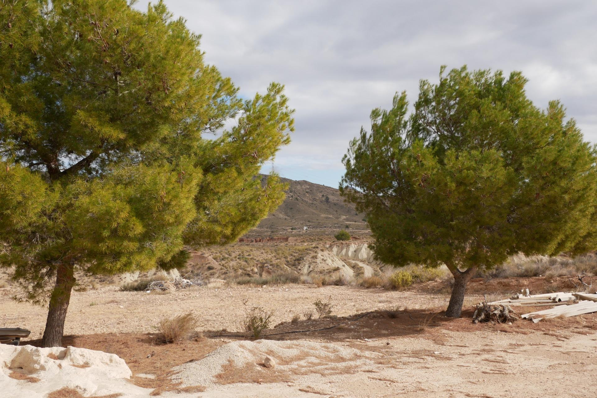 Resale - House - Abanilla - EL SALADO