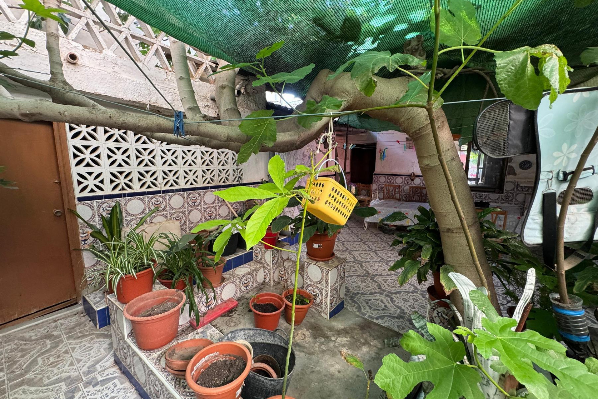 Resale - House - Benejúzar